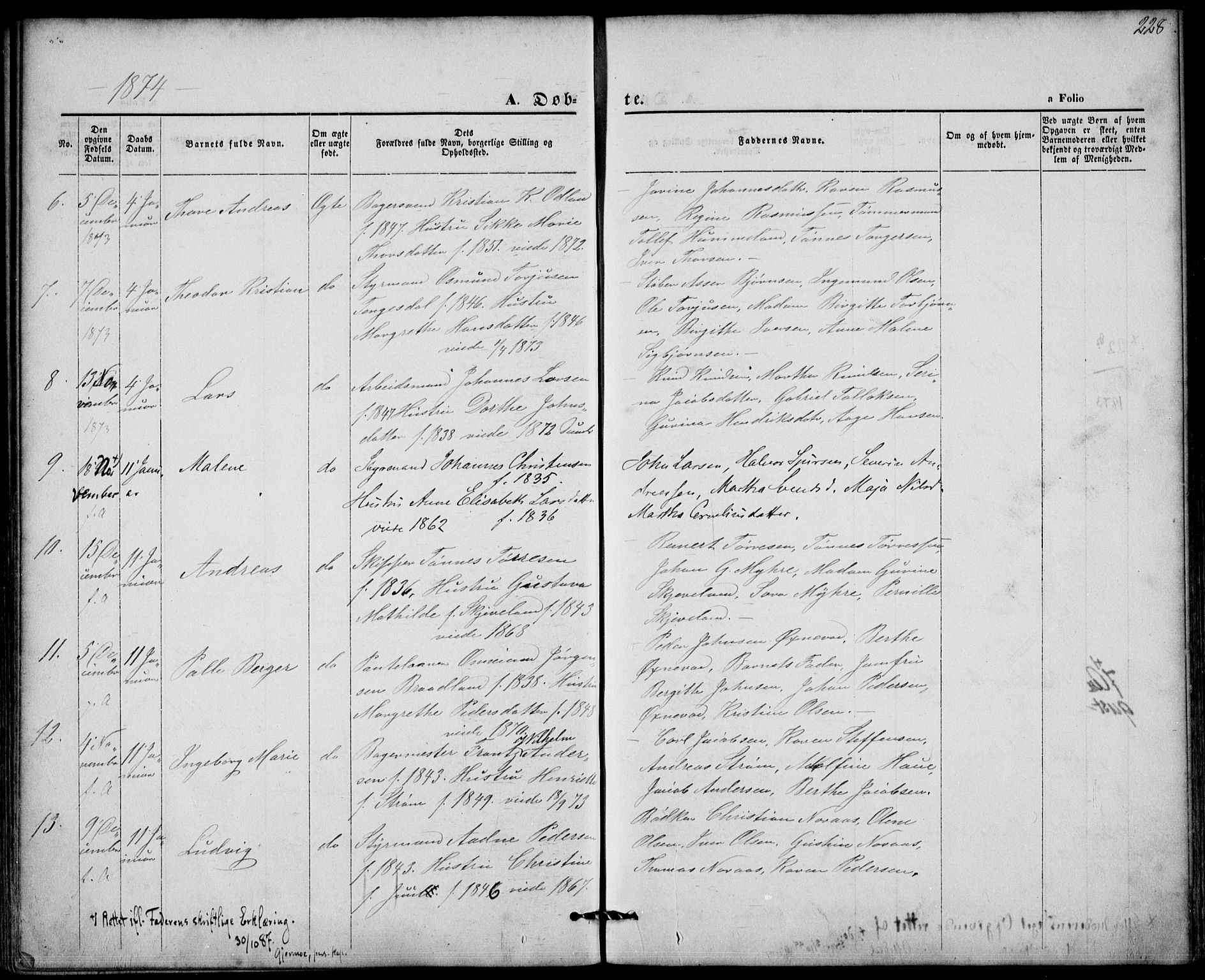 St. Petri sokneprestkontor, AV/SAST-A-101813/001/30/30BA/L0008: Parish register (official) no. A 8, 1868-1876, p. 228