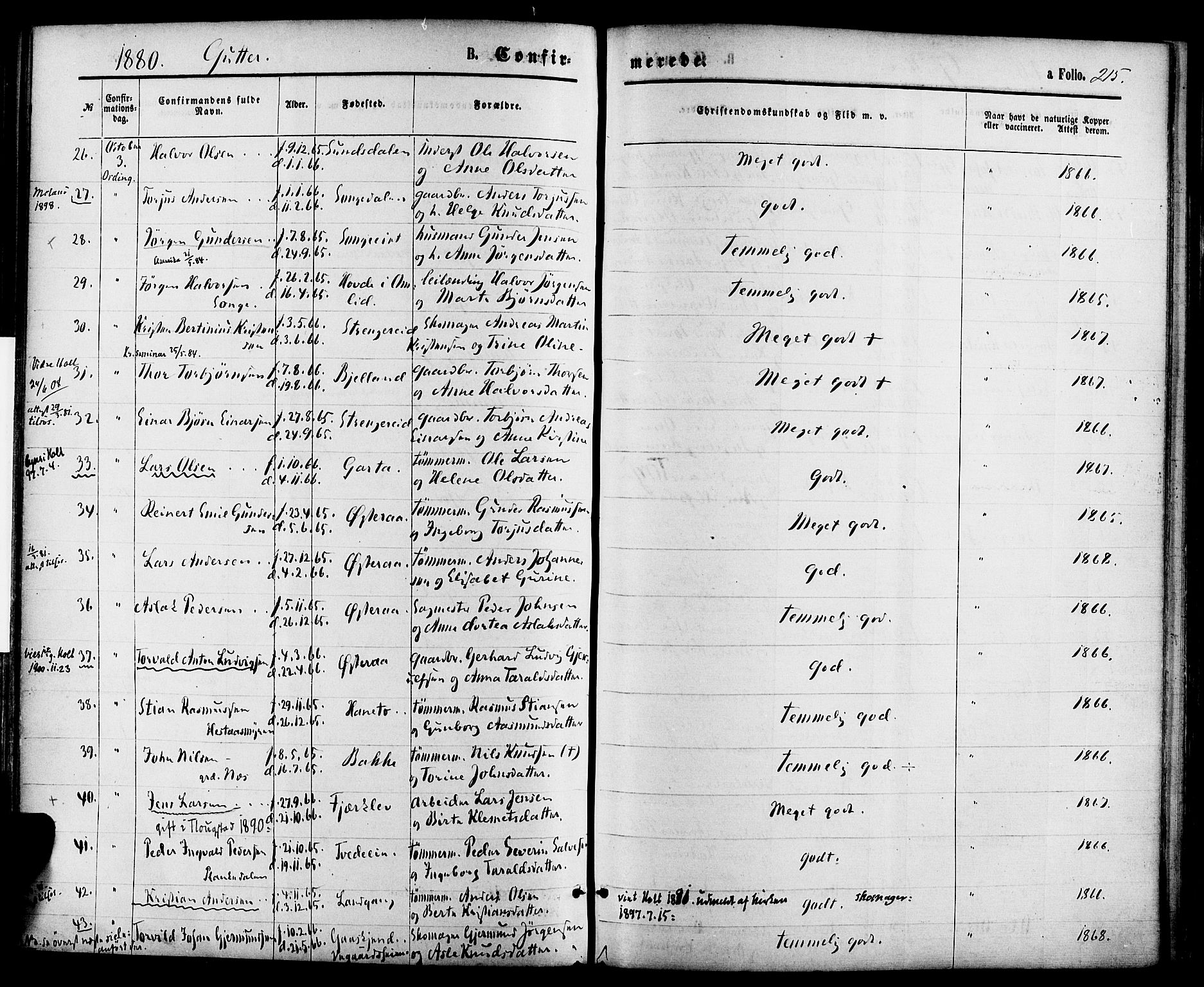 Holt sokneprestkontor, AV/SAK-1111-0021/F/Fa/L0010: Parish register (official) no. A 10, 1872-1885, p. 215