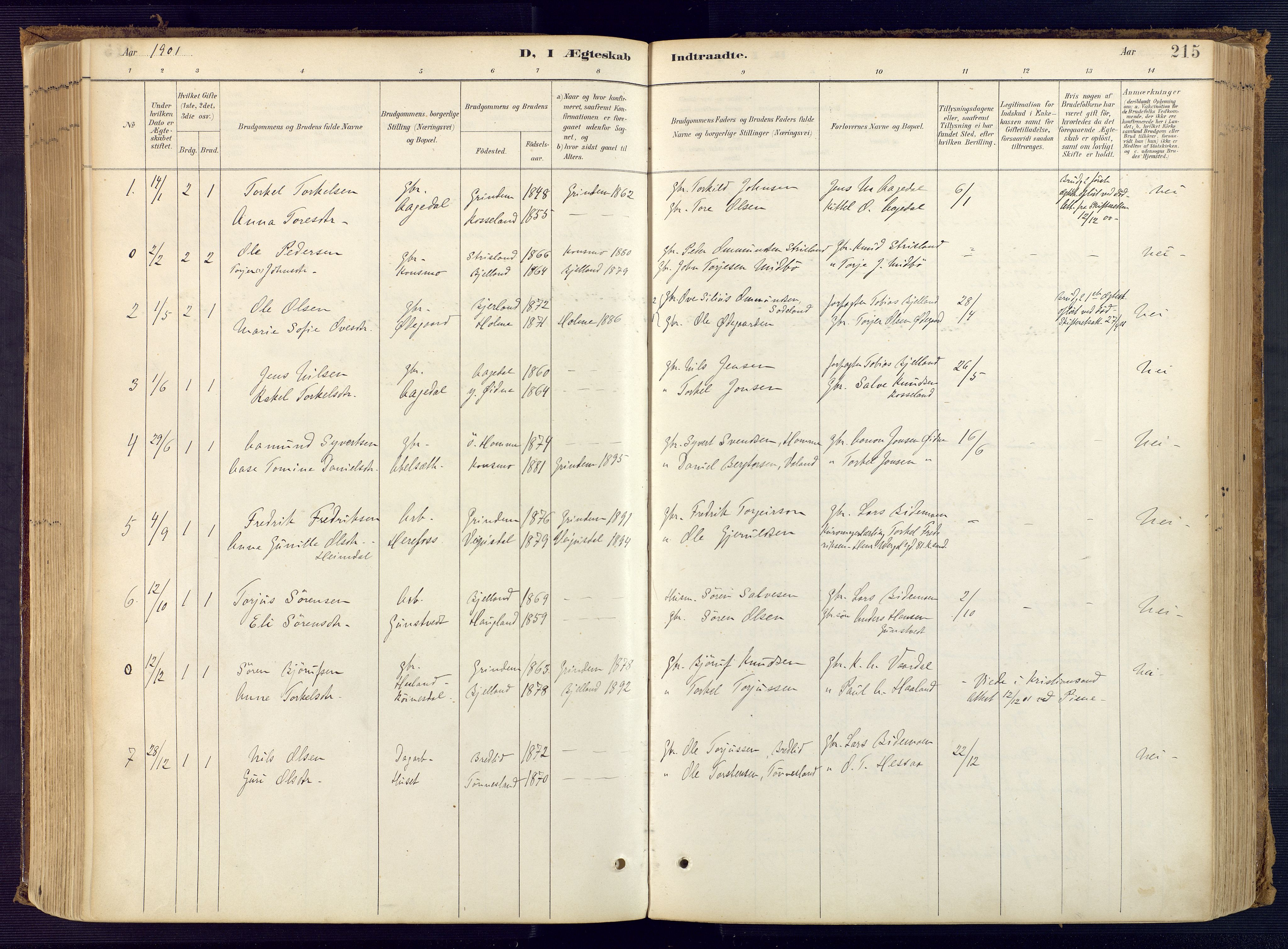 Bjelland sokneprestkontor, AV/SAK-1111-0005/F/Fa/Faa/L0004: Parish register (official) no. A 4, 1887-1923, p. 215