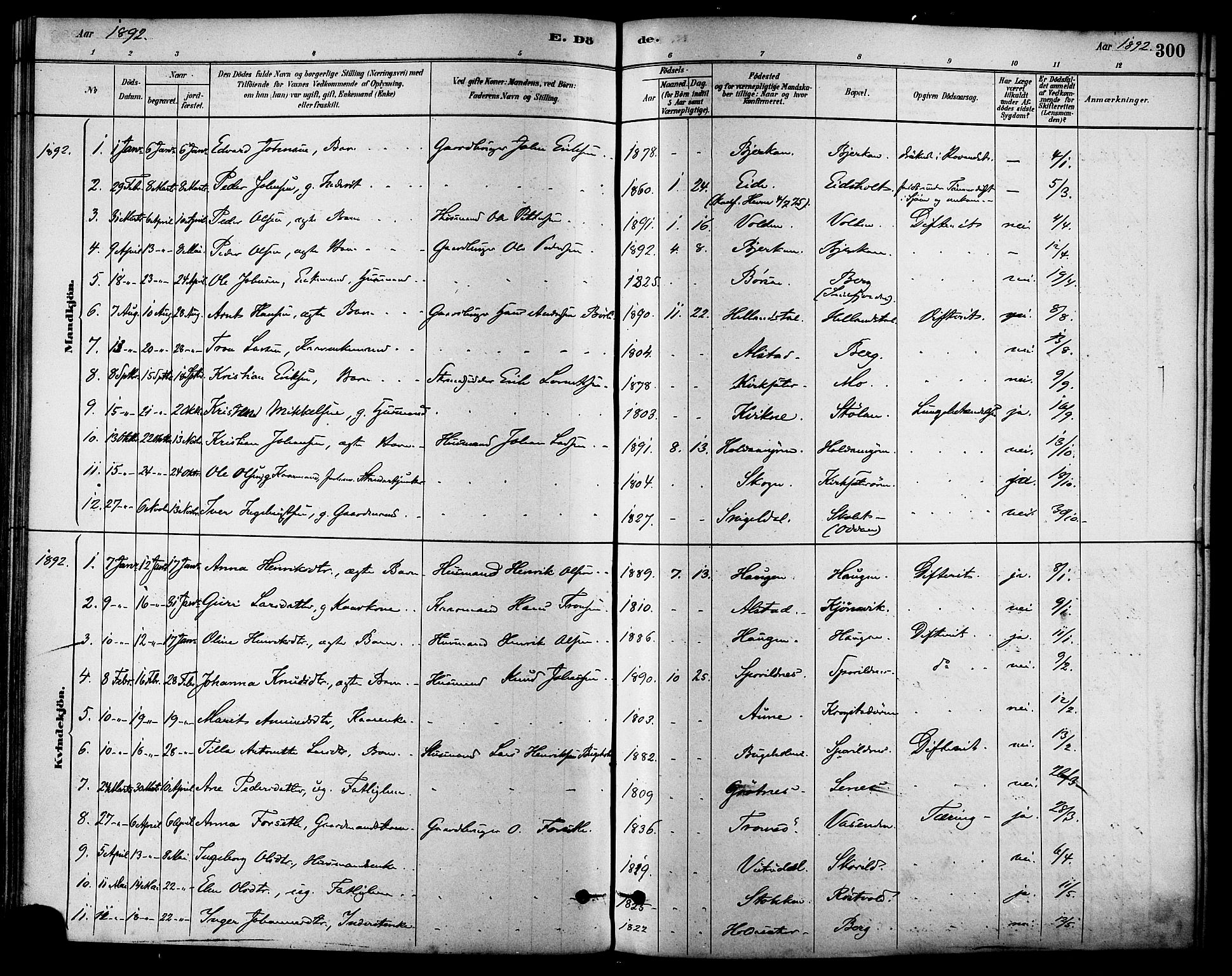 Ministerialprotokoller, klokkerbøker og fødselsregistre - Sør-Trøndelag, SAT/A-1456/630/L0496: Parish register (official) no. 630A09, 1879-1895, p. 300
