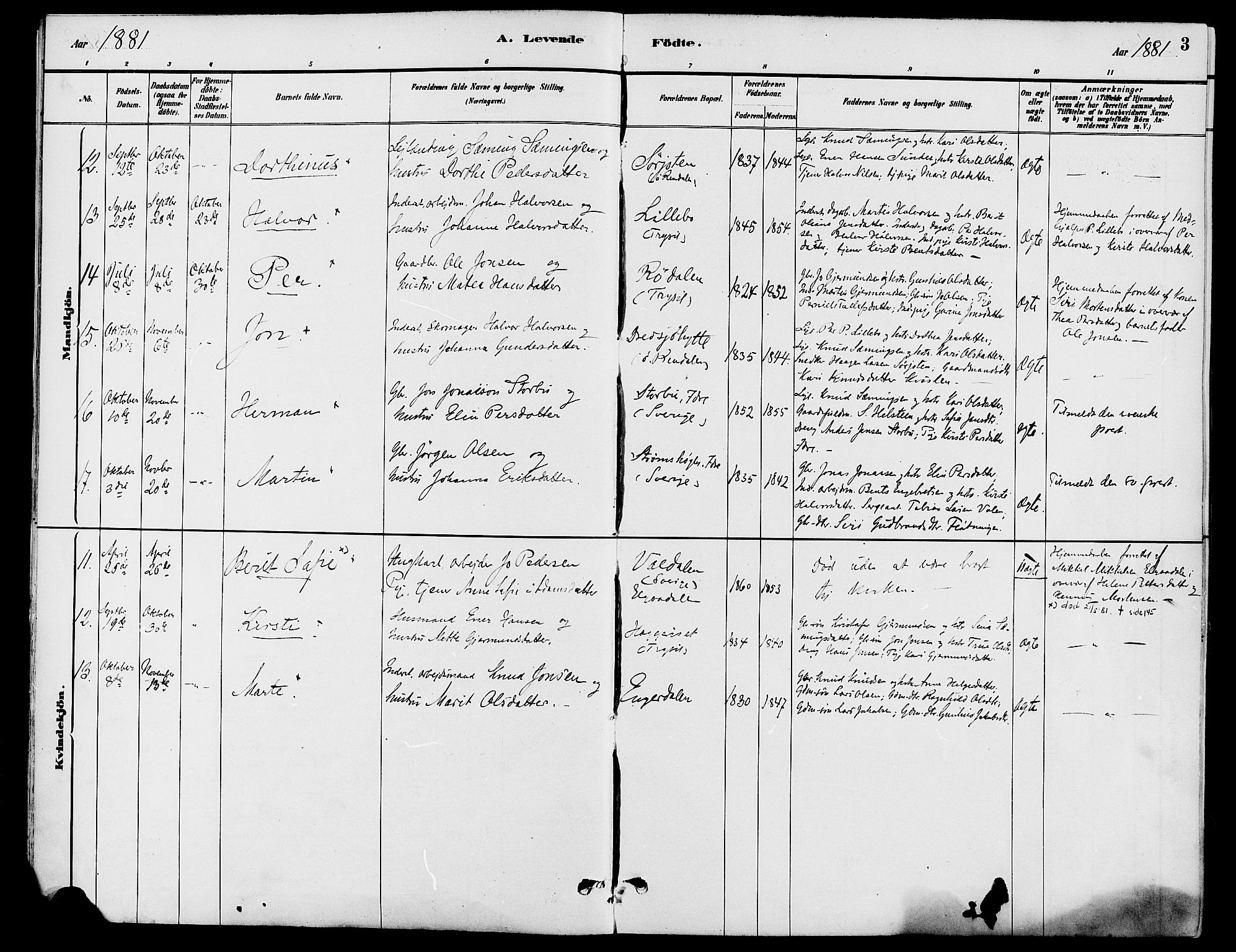 Engerdal prestekontor, AV/SAH-PREST-048/H/Ha/Haa/L0001: Parish register (official) no. 1, 1881-1898, p. 3