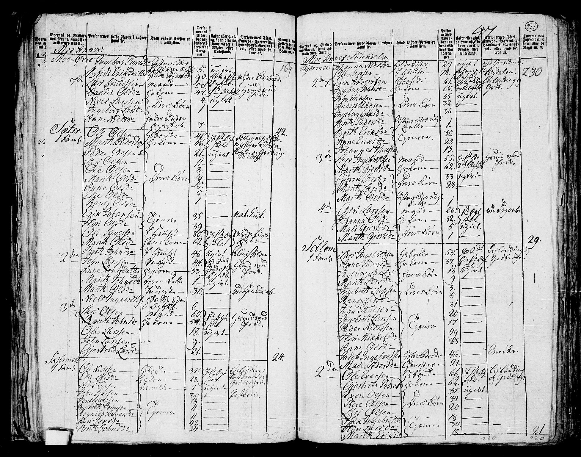 RA, 1801 census for 1566P Surnadal, 1801, p. 720b-721a