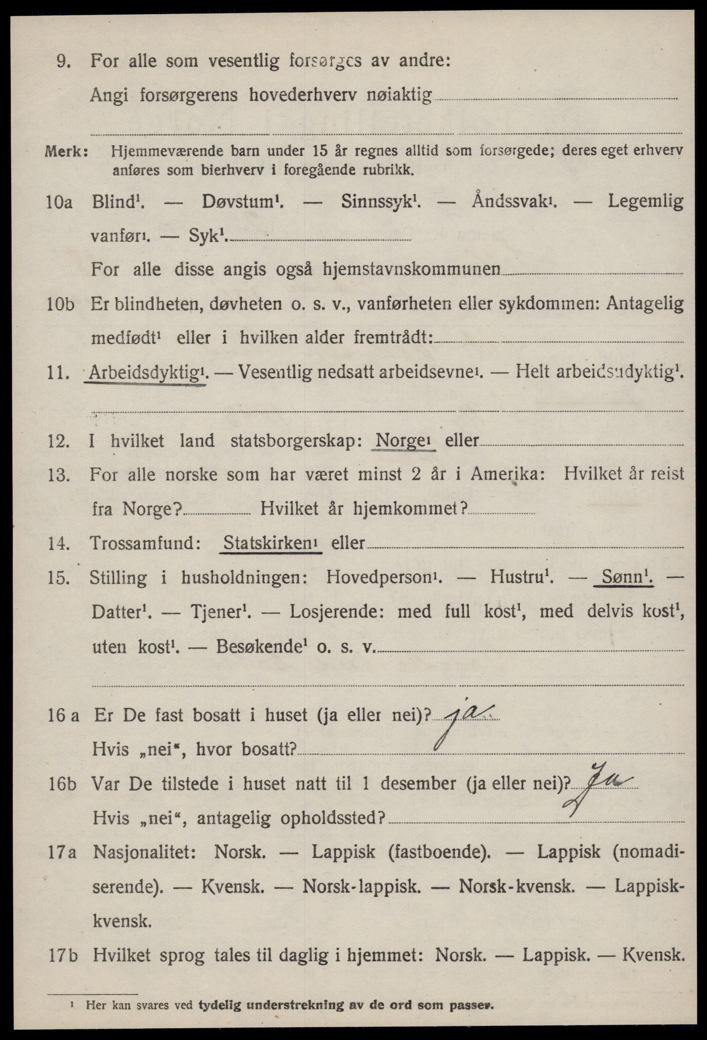 SAT, 1920 census for Selbu, 1920, p. 9445