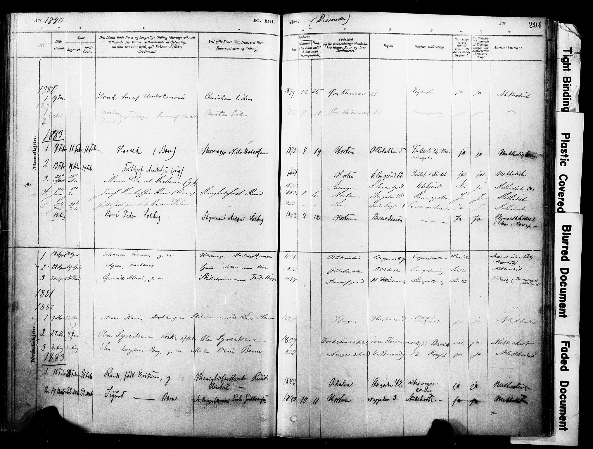 Horten kirkebøker, AV/SAKO-A-348/F/Fa/L0003: Parish register (official) no. 3, 1878-1887, p. 294