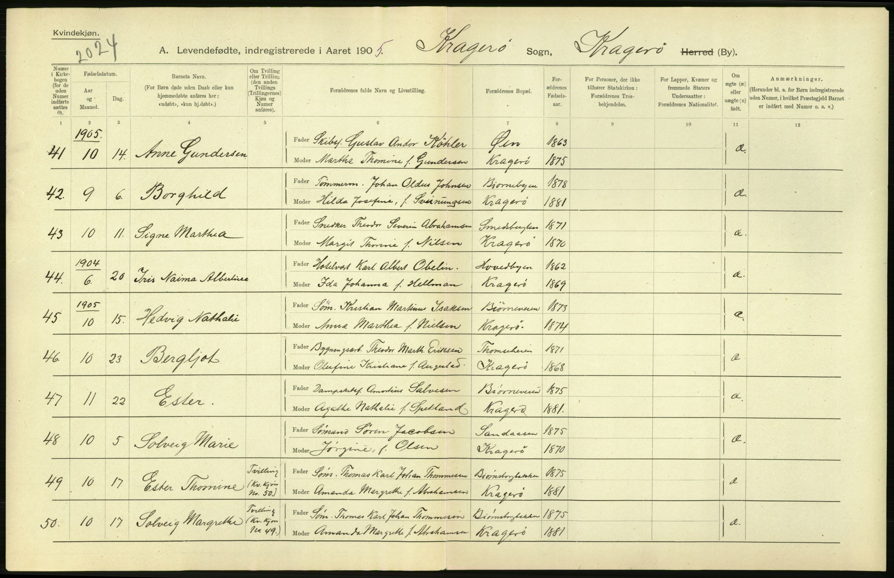 Statistisk sentralbyrå, Sosiodemografiske emner, Befolkning, AV/RA-S-2228/D/Df/Dfa/Dfac/L0043: Bratsberg - Lister og Mandals amt: Levendefødte menn og kvinner, gifte, døde, dødfødte. Byer., 1905, p. 6