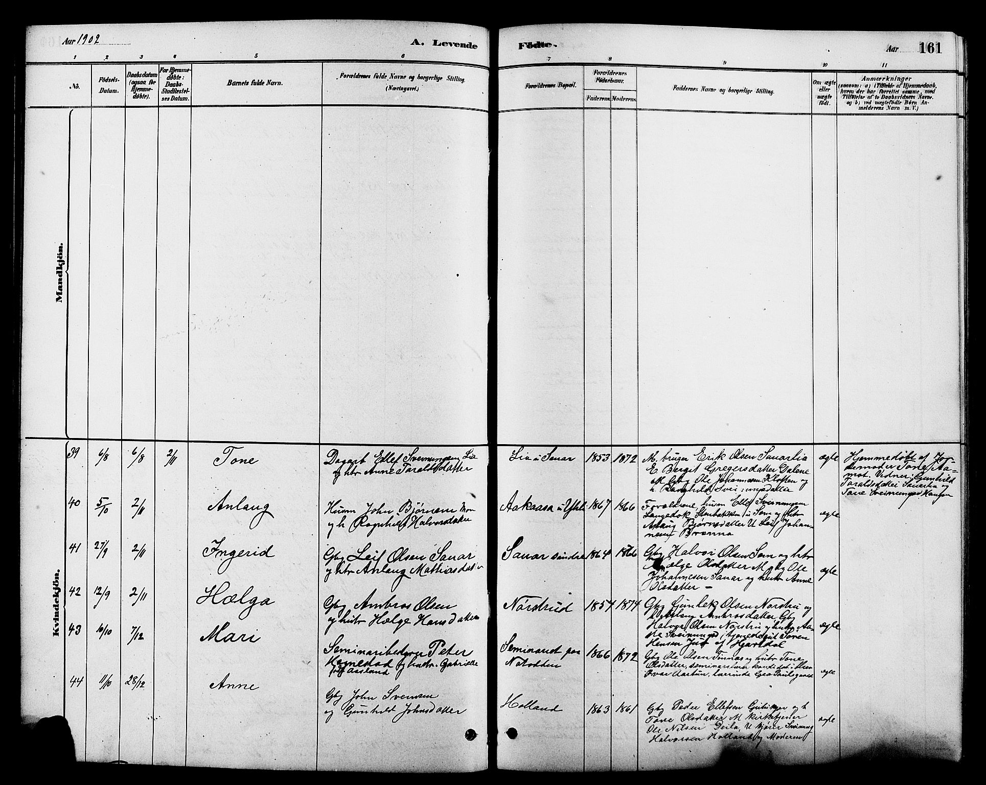 Heddal kirkebøker, AV/SAKO-A-268/G/Ga/L0002: Parish register (copy) no. I 2, 1879-1908, p. 161