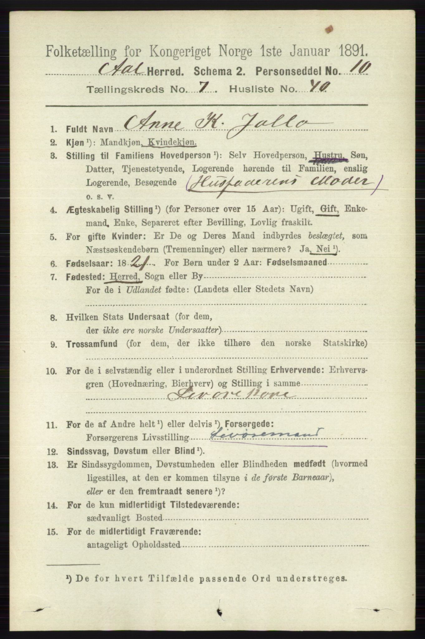 RA, 1891 census for 0619 Ål, 1891, p. 2013