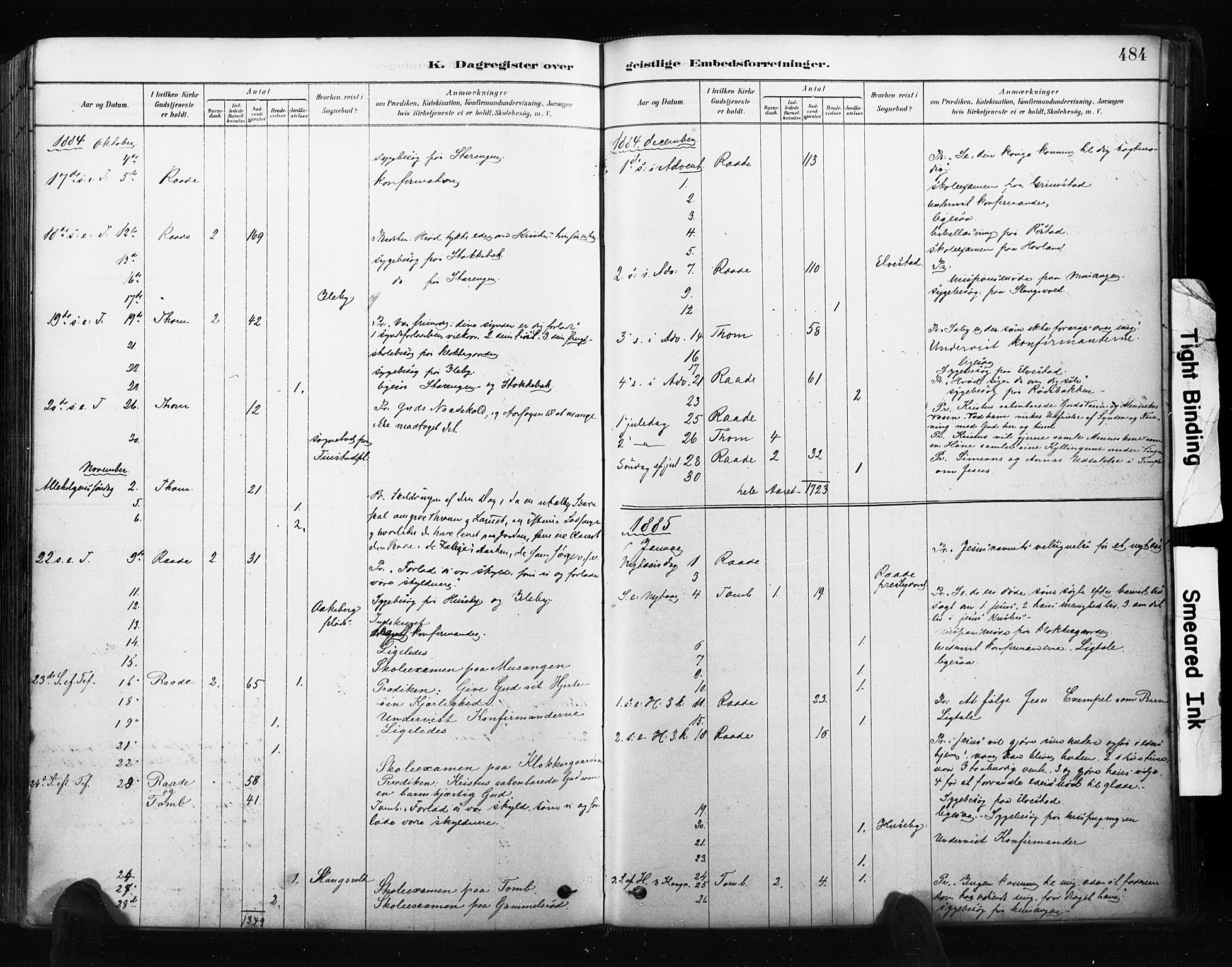 Råde prestekontor kirkebøker, AV/SAO-A-2009/F/Fa/L0007: Parish register (official) no. 7, 1878-1902, p. 484