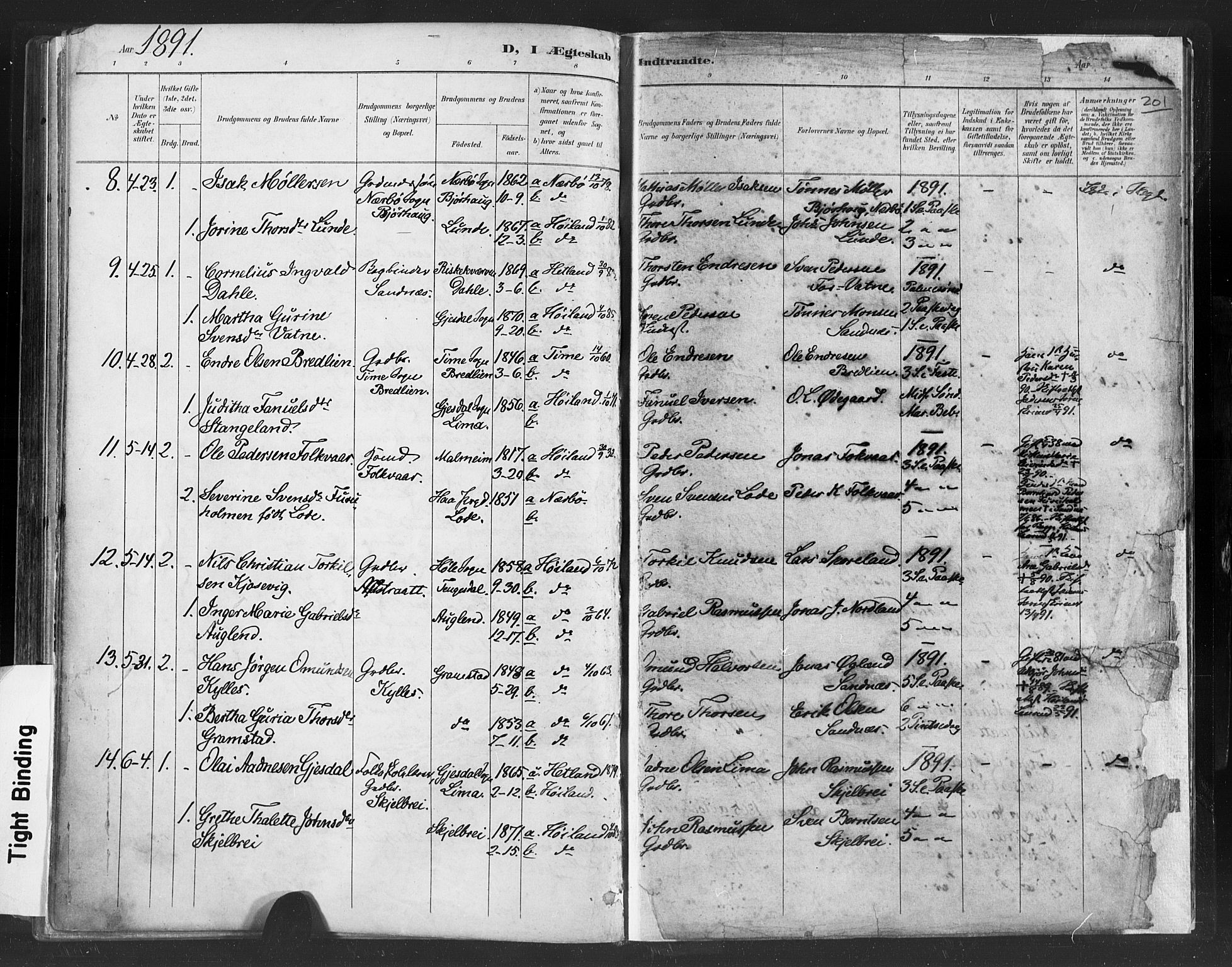 Høyland sokneprestkontor, SAST/A-101799/001/30BA/L0013: Parish register (official) no. A 13.1, 1889-1898, p. 201