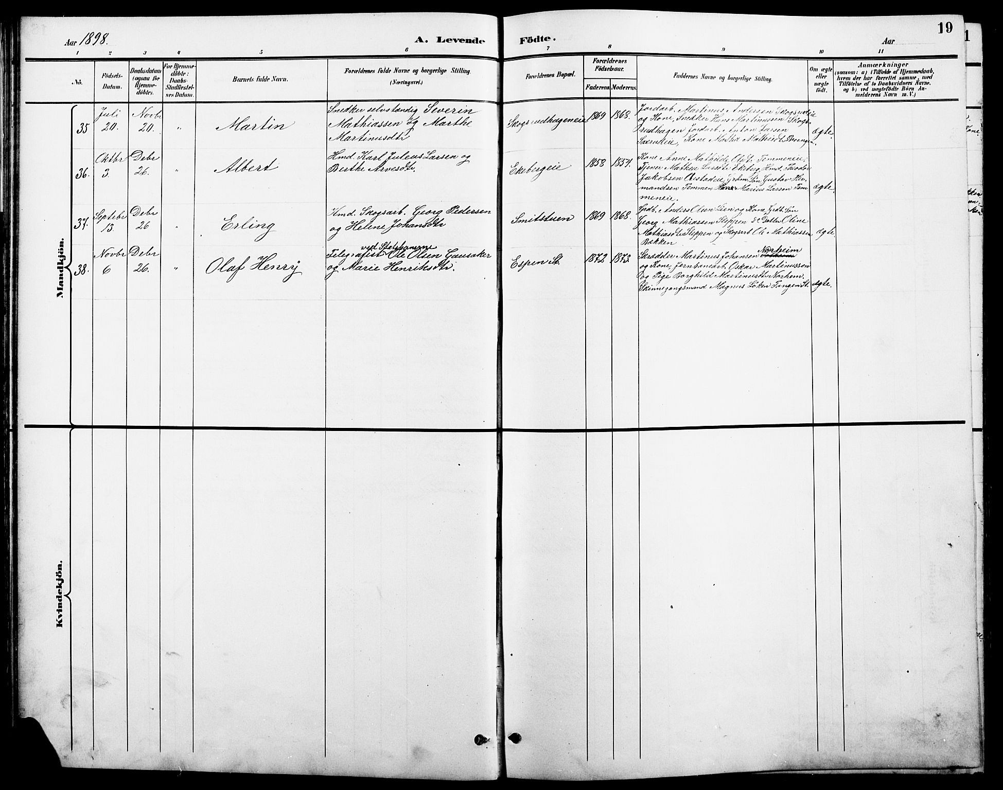 Stange prestekontor, AV/SAH-PREST-002/L/L0011: Parish register (copy) no. 11, 1895-1917, p. 19