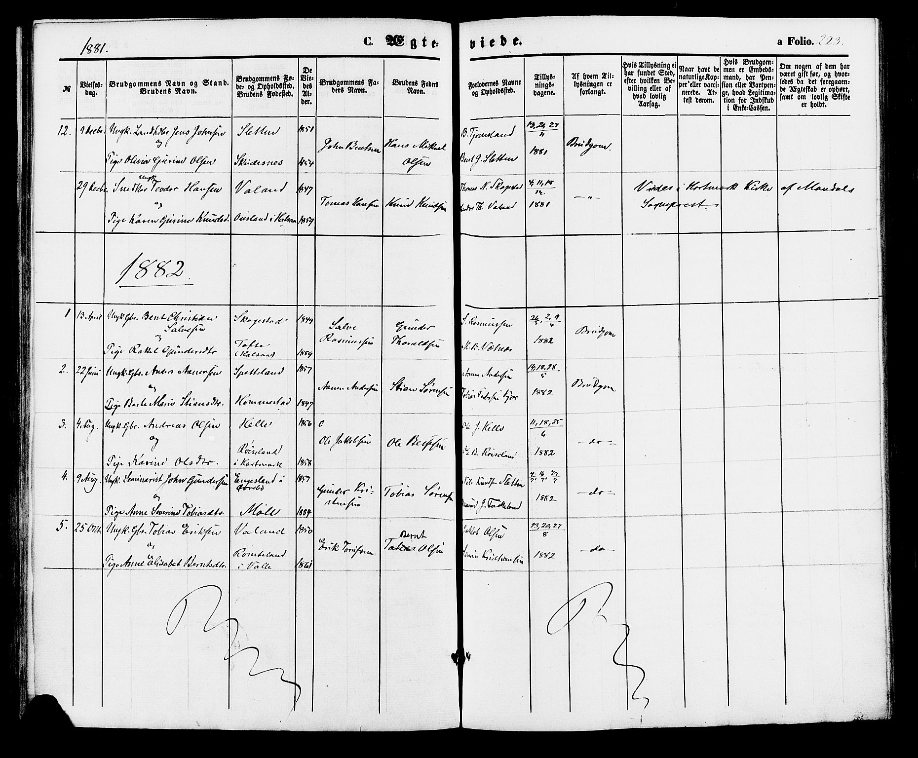 Holum sokneprestkontor, SAK/1111-0022/F/Fa/Faa/L0006: Parish register (official) no. A 6, 1865-1883, p. 223