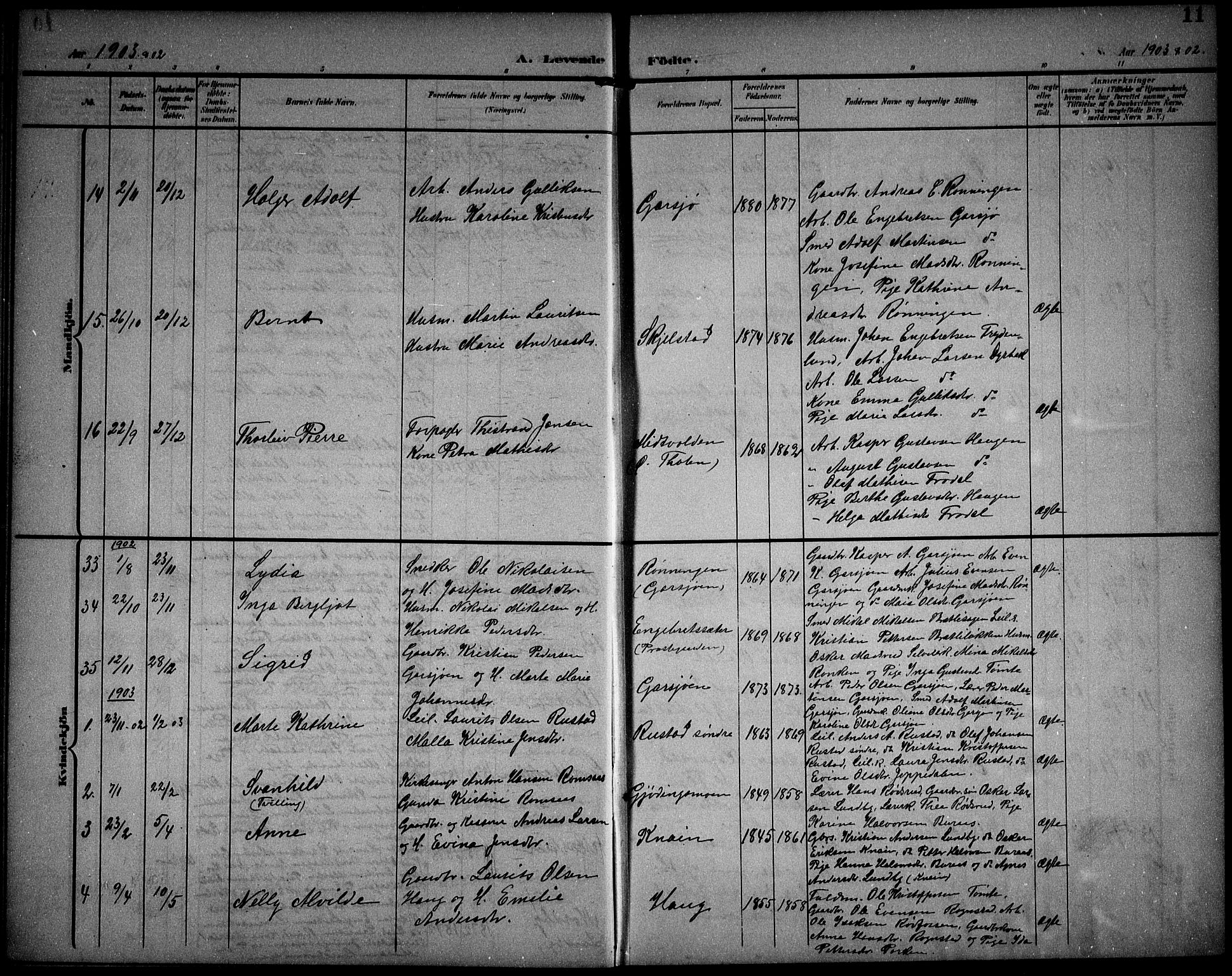Hurdal prestekontor Kirkebøker, AV/SAO-A-10889/G/Ga/L0001: Parish register (copy) no. I 1, 1902-1934, p. 11