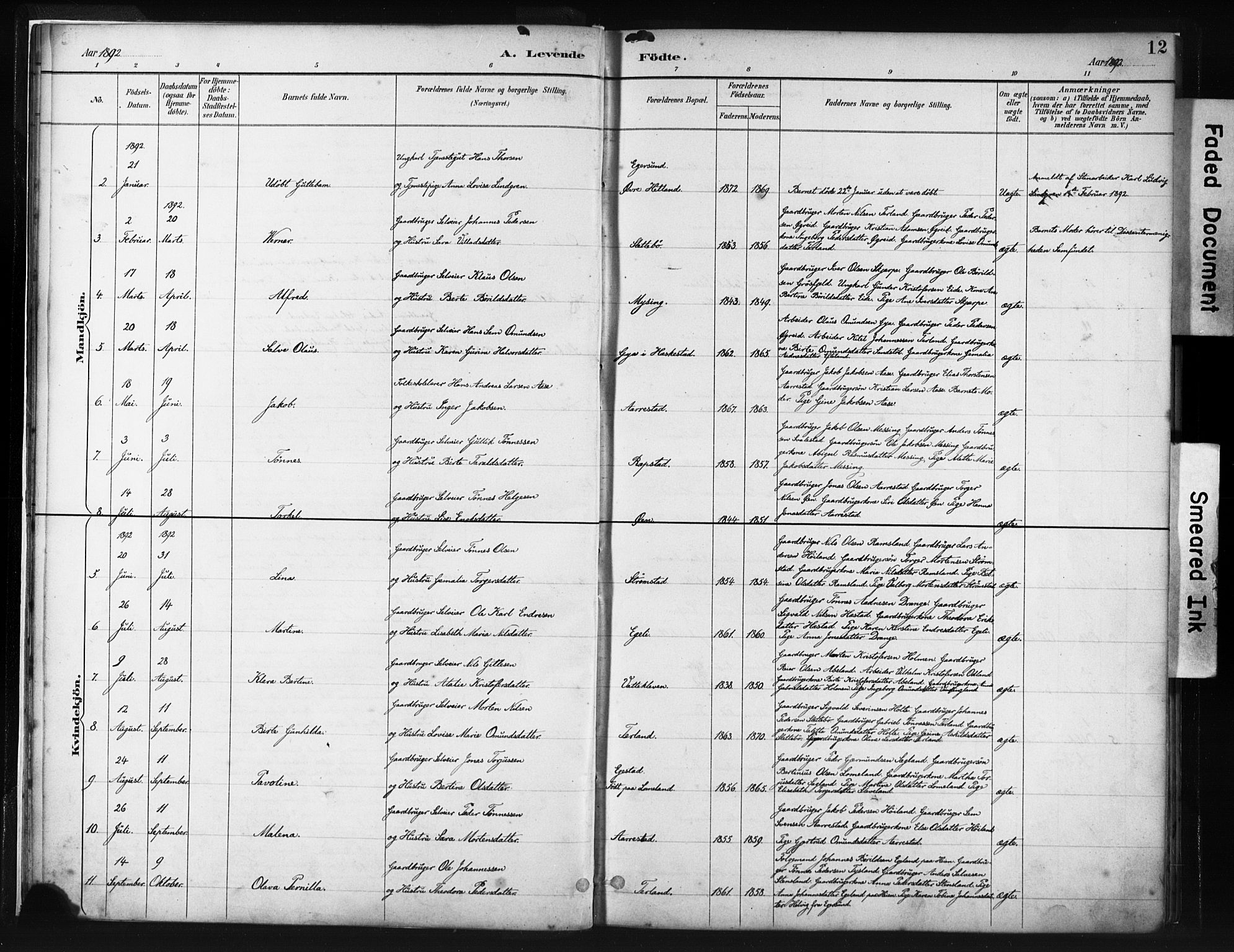 Helleland sokneprestkontor, AV/SAST-A-101810: Parish register (official) no. A 8, 1887-1907, p. 12