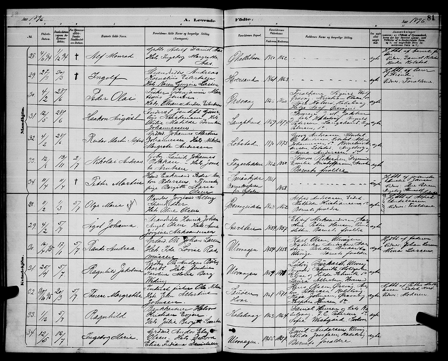 Ministerialprotokoller, klokkerbøker og fødselsregistre - Nordland, AV/SAT-A-1459/874/L1077: Parish register (copy) no. 874C06, 1891-1900, p. 81