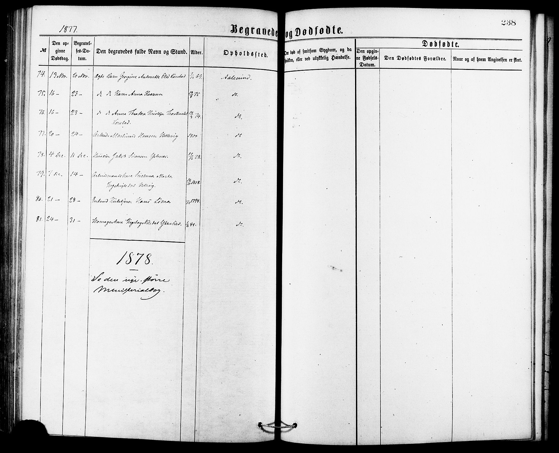 Ministerialprotokoller, klokkerbøker og fødselsregistre - Møre og Romsdal, AV/SAT-A-1454/529/L0453: Parish register (official) no. 529A03, 1872-1877, p. 238