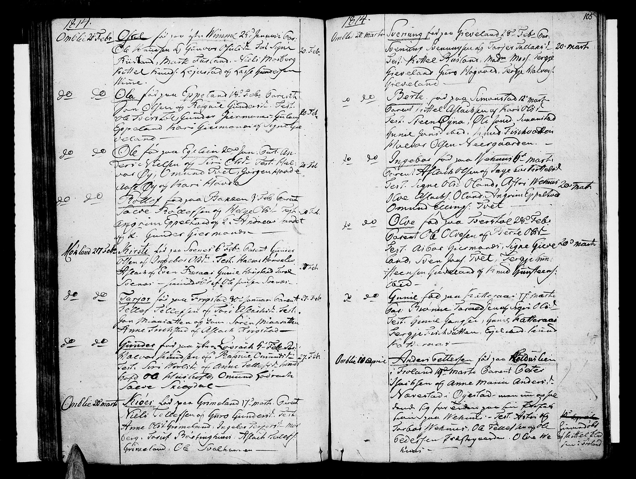 Åmli sokneprestkontor, SAK/1111-0050/F/Fa/Fac/L0005: Parish register (official) no. A 5, 1796-1816, p. 105