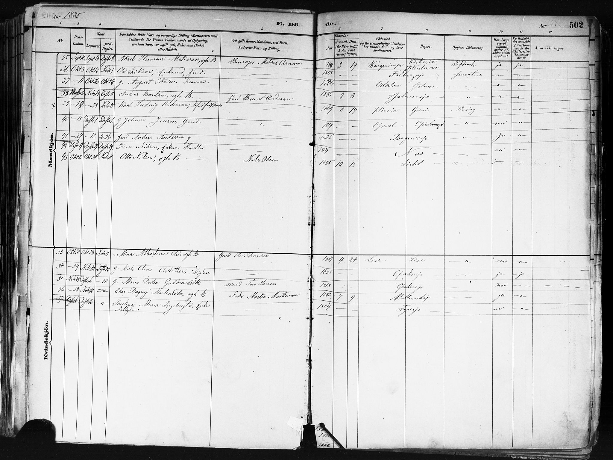 Nes prestekontor Kirkebøker, AV/SAO-A-10410/F/Fa/L0010: Parish register (official) no. I 10, 1883-1898, p. 502