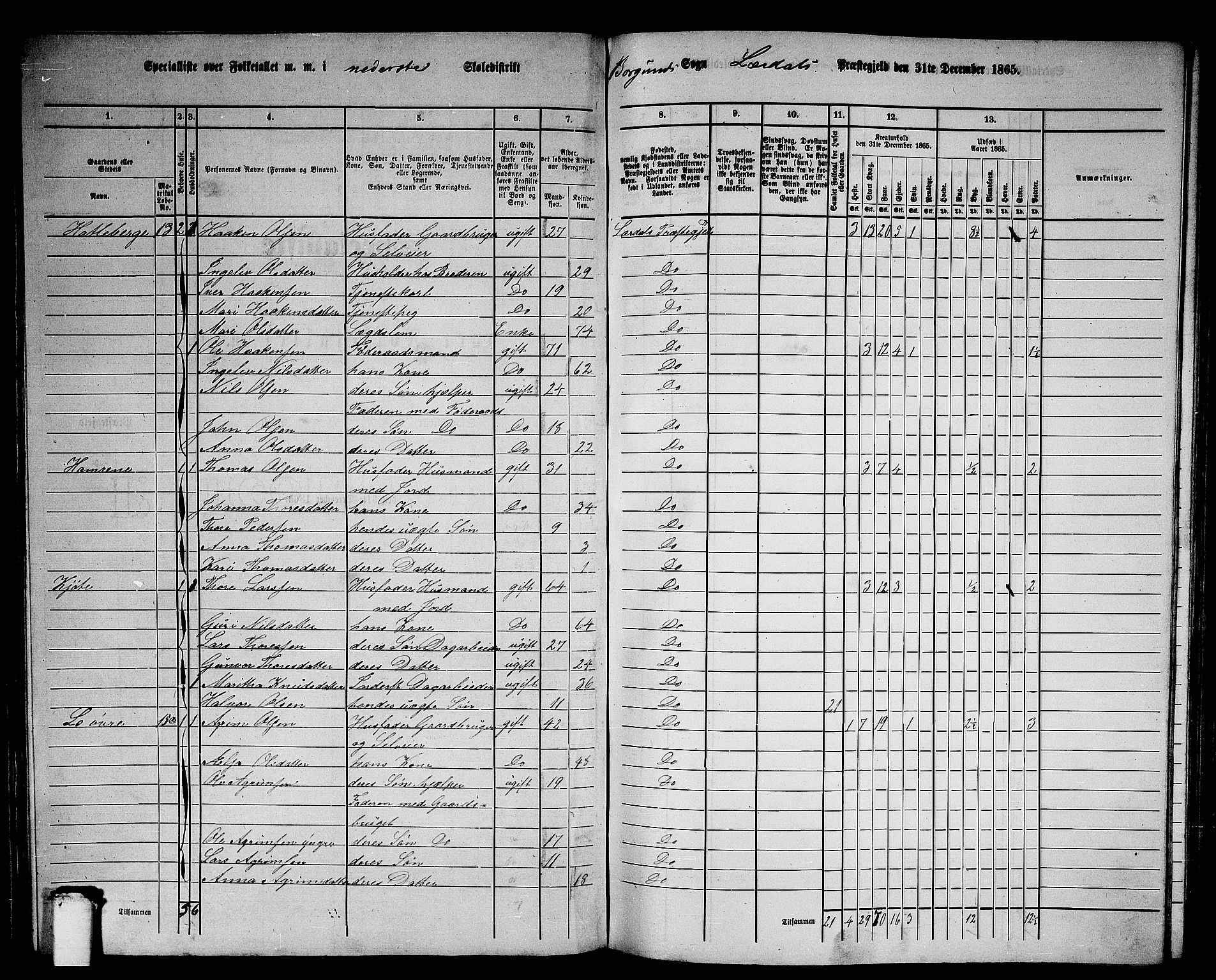 RA, 1865 census for Lærdal, 1865, p. 46