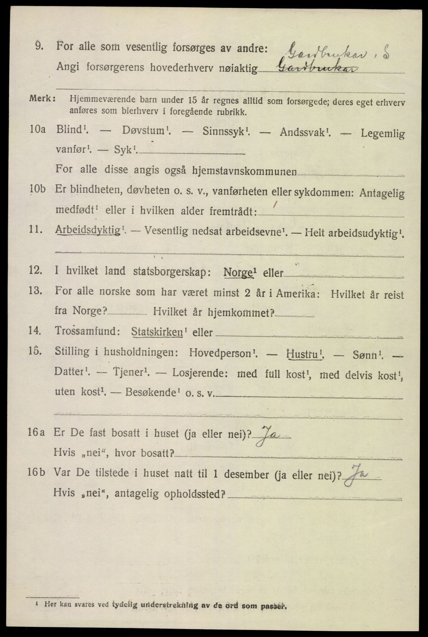 SAK, 1920 census for Hornnes, 1920, p. 2638