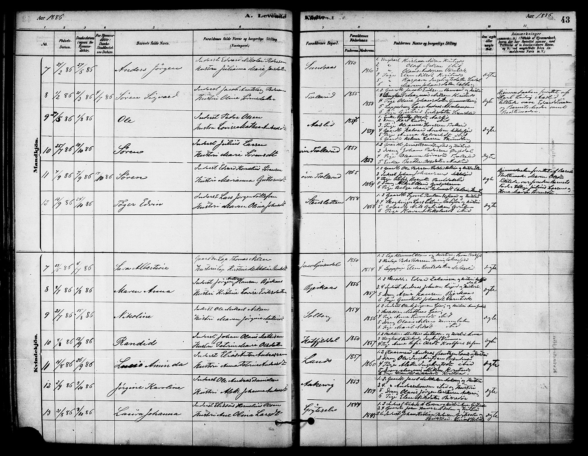 Ministerialprotokoller, klokkerbøker og fødselsregistre - Nordland, AV/SAT-A-1459/823/L0325: Parish register (official) no. 823A02, 1878-1898, p. 43