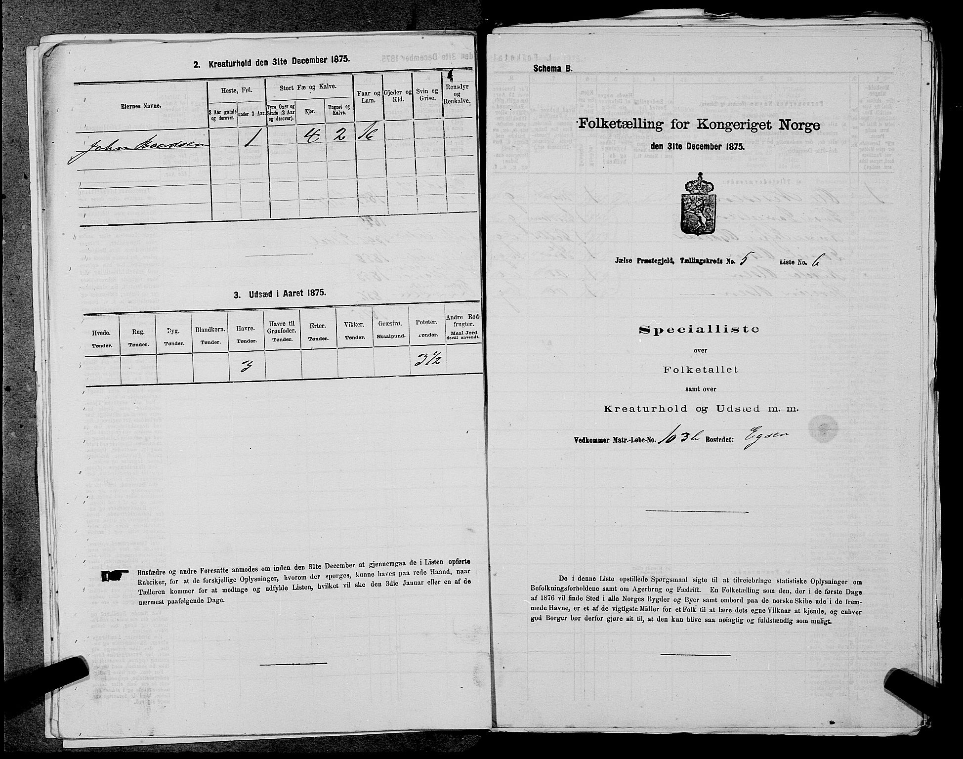 SAST, 1875 census for 1138P Jelsa, 1875, p. 421