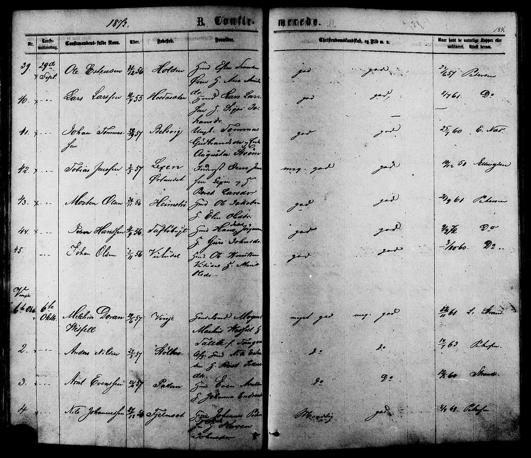 Ministerialprotokoller, klokkerbøker og fødselsregistre - Sør-Trøndelag, AV/SAT-A-1456/630/L0495: Parish register (official) no. 630A08, 1868-1878, p. 184
