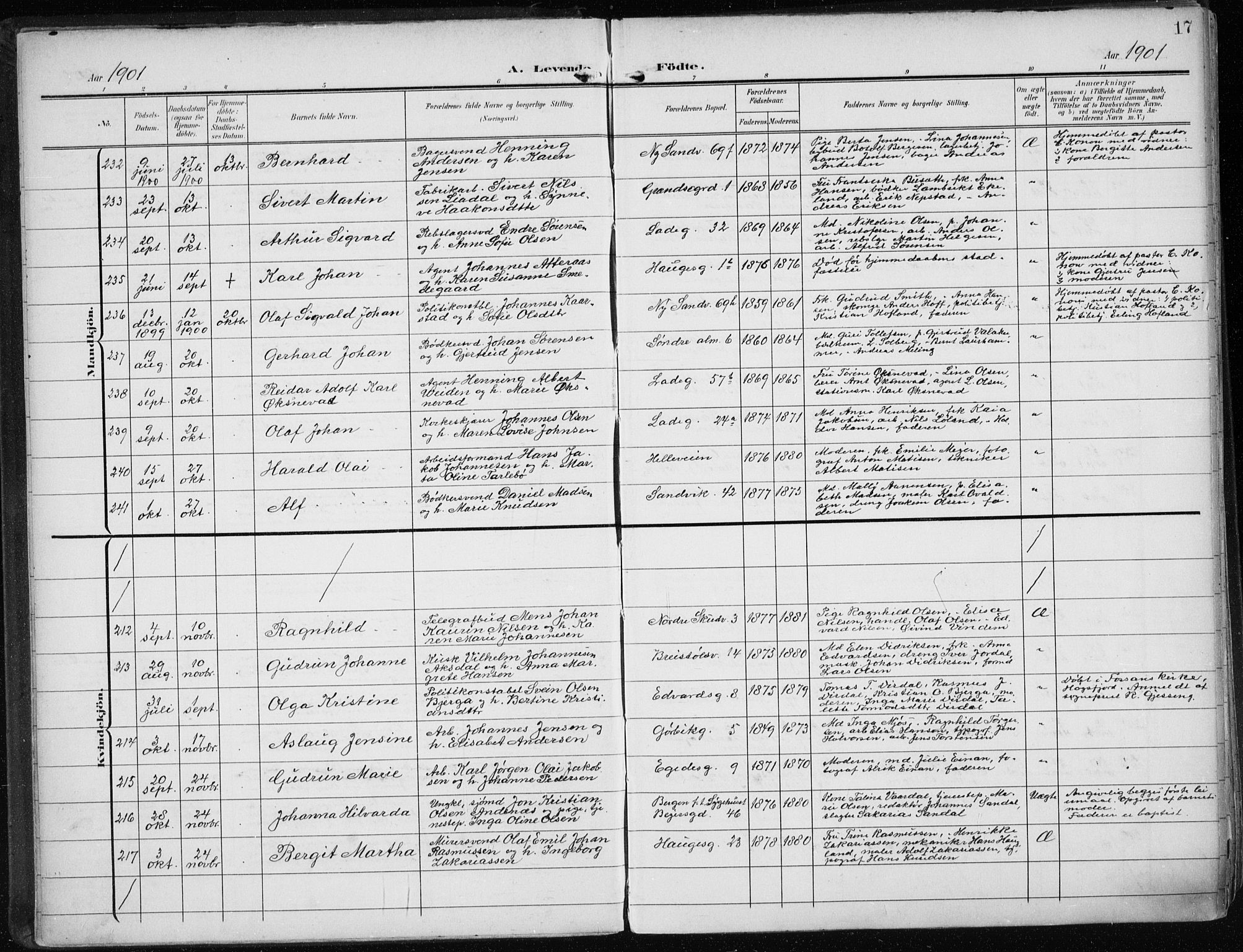 Sandviken Sokneprestembete, AV/SAB-A-77601/H/Ha/L0006: Parish register (official) no. B 3, 1901-1912, p. 17