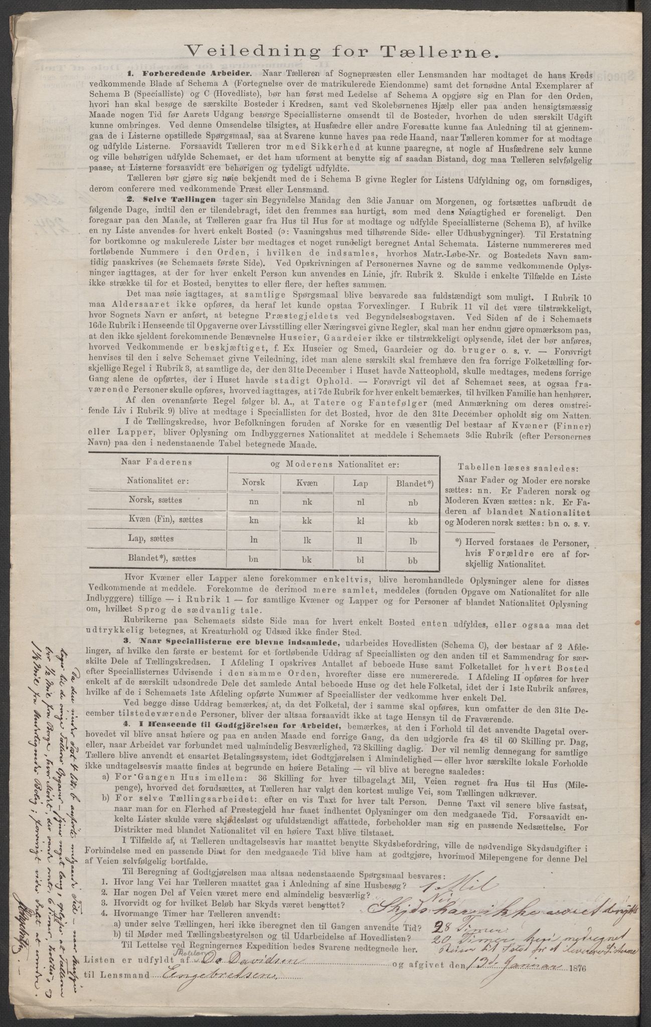 RA, 1875 census for 0113P Borge, 1875, p. 17