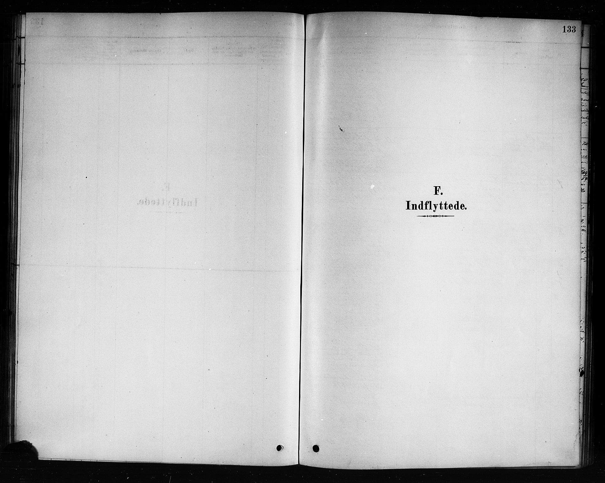 Hole kirkebøker, AV/SAKO-A-228/F/Fb/L0001: Parish register (official) no. II 1, 1878-1891, p. 133