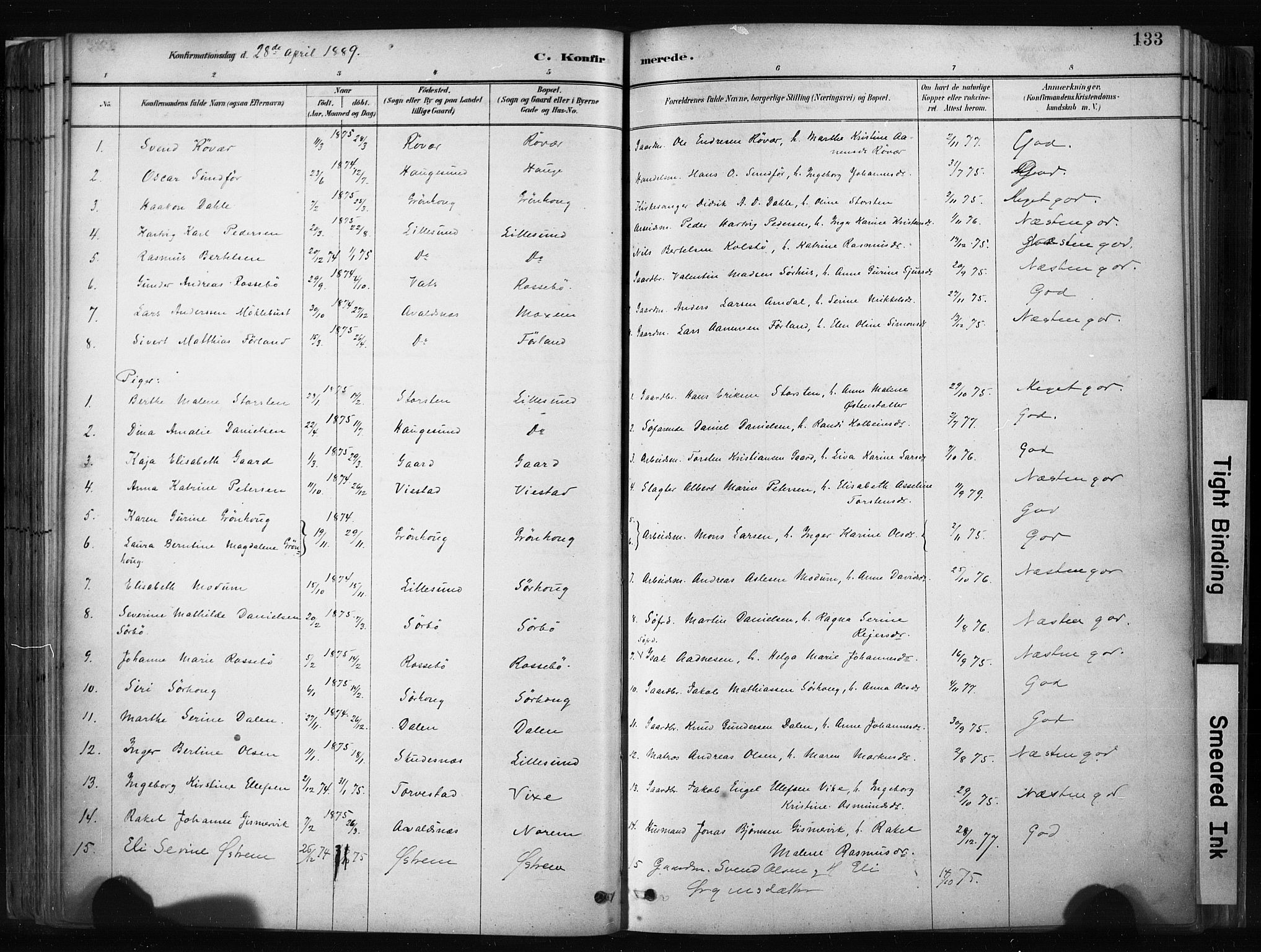 Haugesund sokneprestkontor, AV/SAST-A -101863/H/Ha/Haa/L0004: Parish register (official) no. A 4, 1886-1908, p. 133