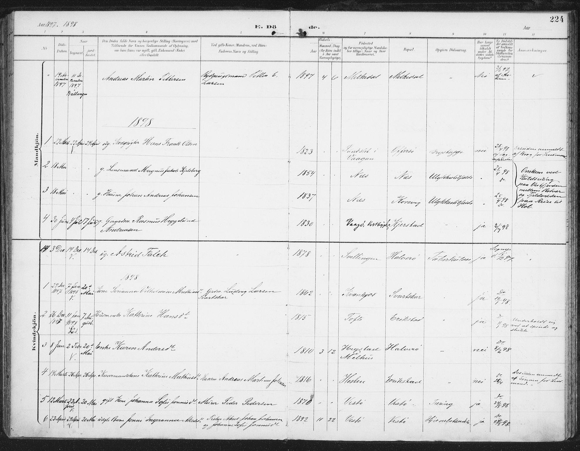 Ministerialprotokoller, klokkerbøker og fødselsregistre - Nordland, AV/SAT-A-1459/872/L1036: Parish register (official) no. 872A11, 1897-1913, p. 224