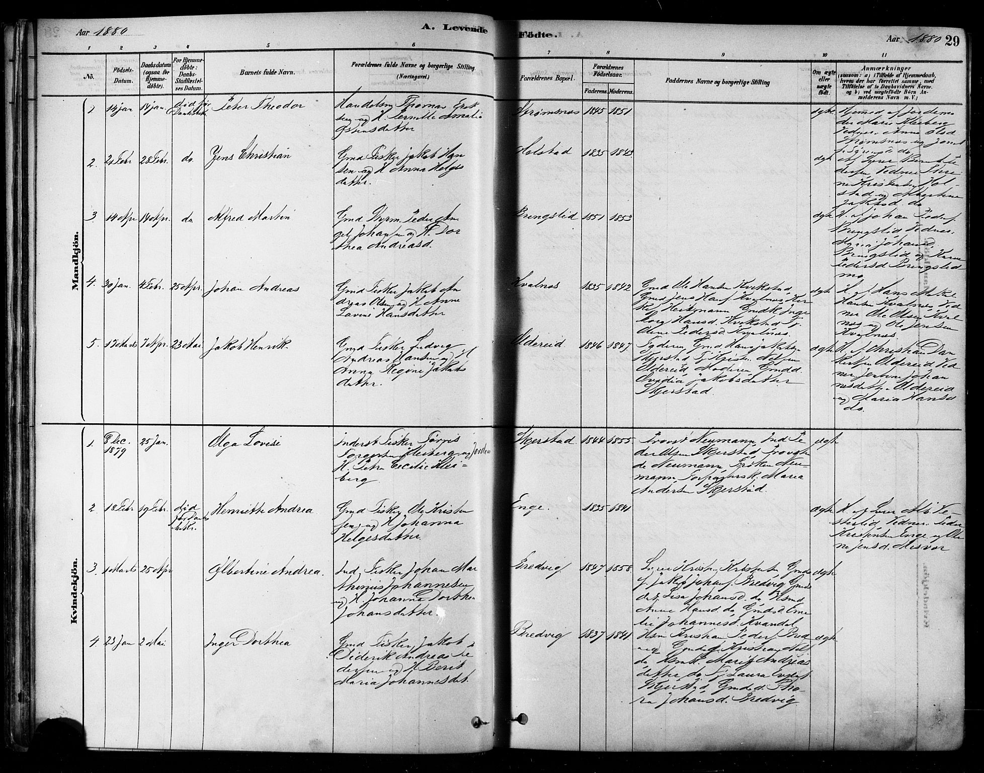 Ministerialprotokoller, klokkerbøker og fødselsregistre - Nordland, SAT/A-1459/852/L0740: Parish register (official) no. 852A10, 1878-1894, p. 29