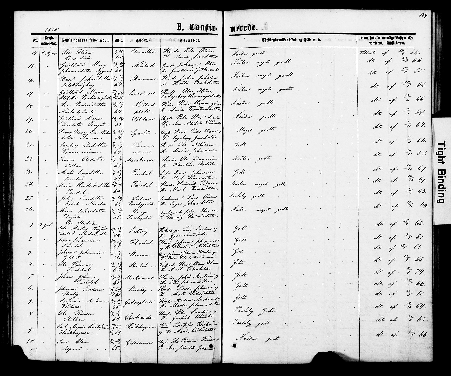 Ministerialprotokoller, klokkerbøker og fødselsregistre - Nord-Trøndelag, SAT/A-1458/706/L0049: Parish register (copy) no. 706C01, 1864-1895, p. 134