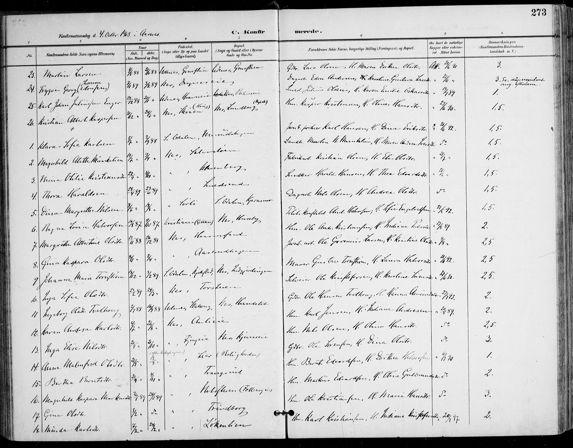 Nes prestekontor Kirkebøker, AV/SAO-A-10410/F/Fa/L0011: Parish register (official) no. I 11, 1899-1918, p. 273