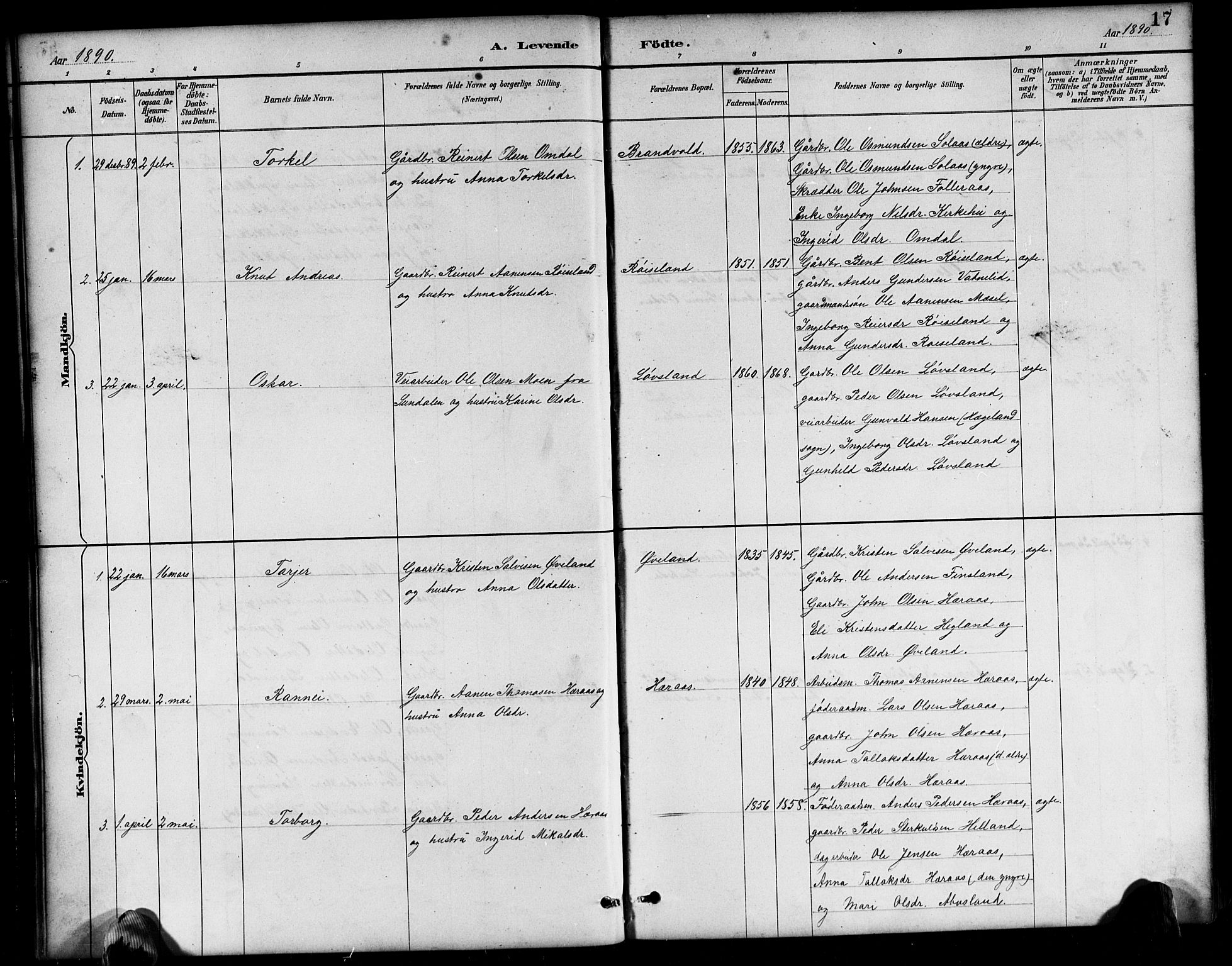 Bjelland sokneprestkontor, SAK/1111-0005/F/Fb/Fbb/L0005: Parish register (copy) no. B 5, 1887-1918, p. 17