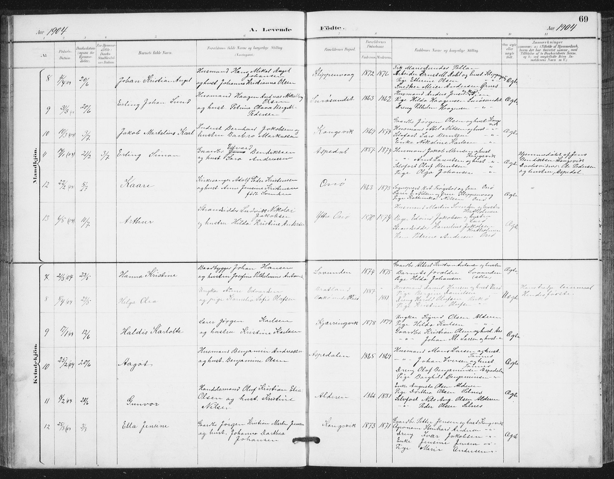 Ministerialprotokoller, klokkerbøker og fødselsregistre - Nordland, AV/SAT-A-1459/839/L0573: Parish register (copy) no. 839C03, 1892-1917, p. 69