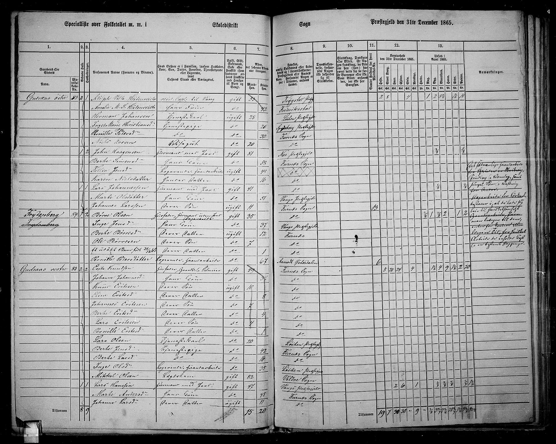 RA, 1865 census for Vang/Vang og Furnes, 1865, p. 89