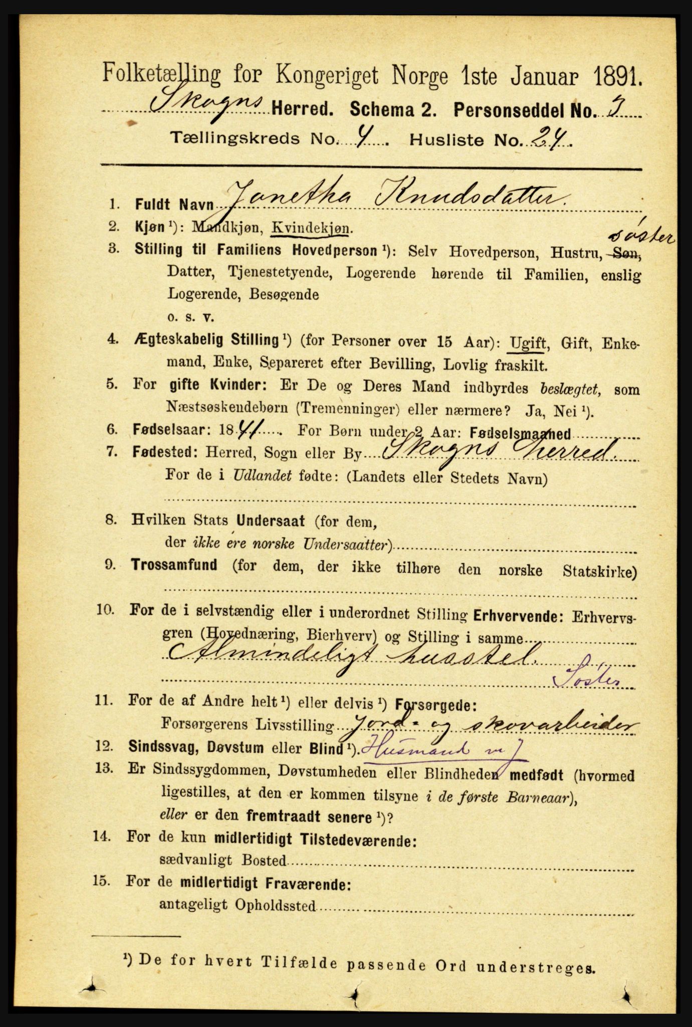 RA, 1891 census for 1719 Skogn, 1891, p. 2505