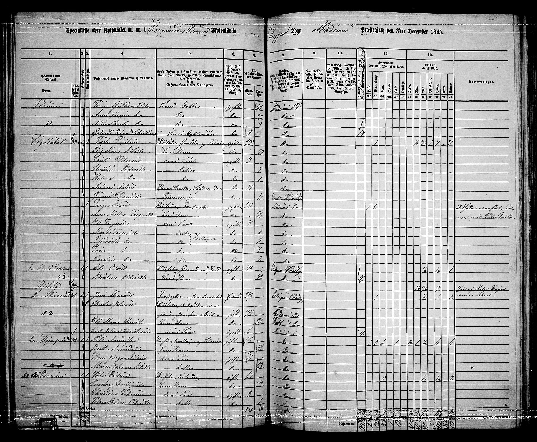 RA, 1865 census for Modum, 1865, p. 143