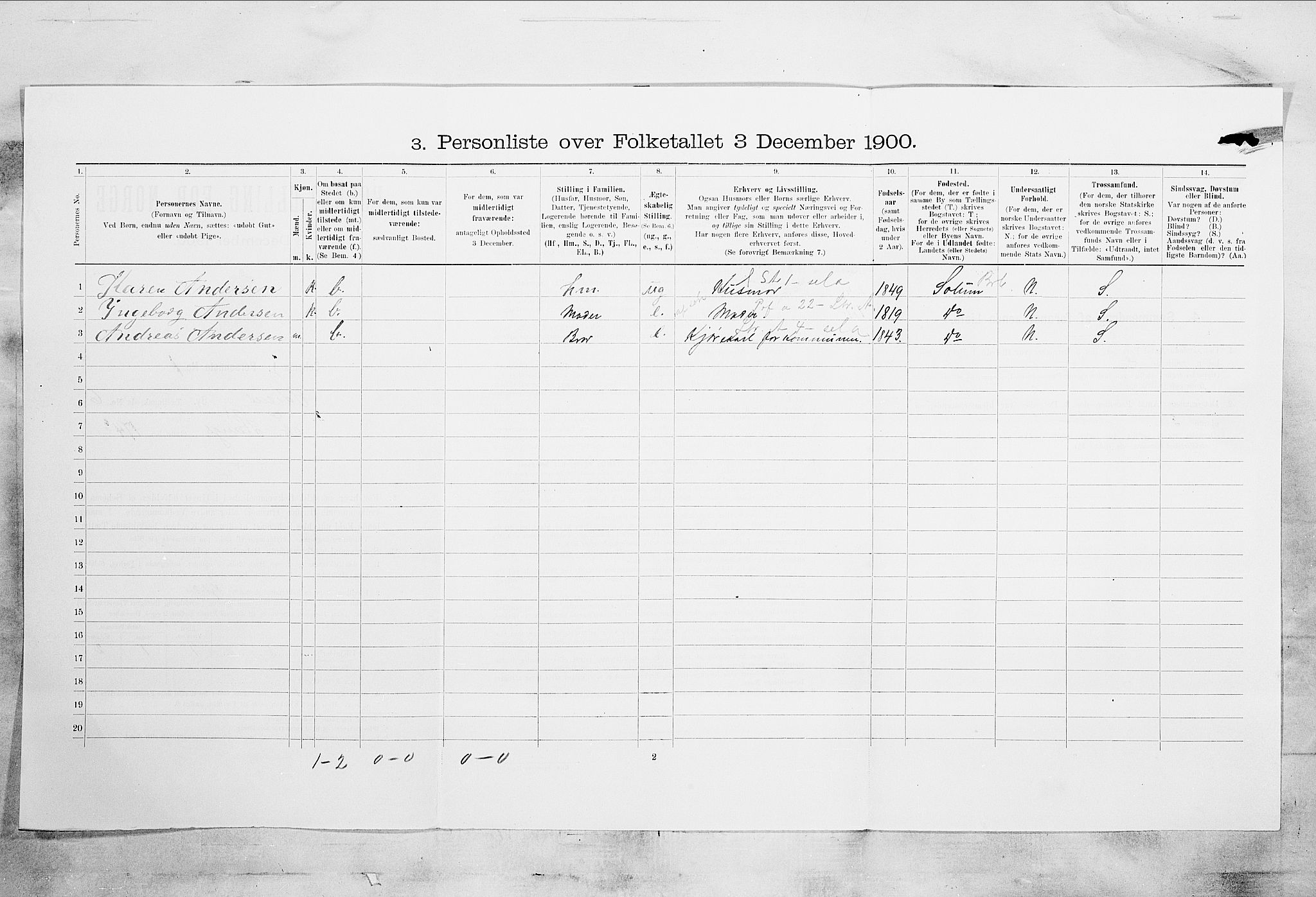 SAKO, 1900 census for Skien, 1900, p. 1003