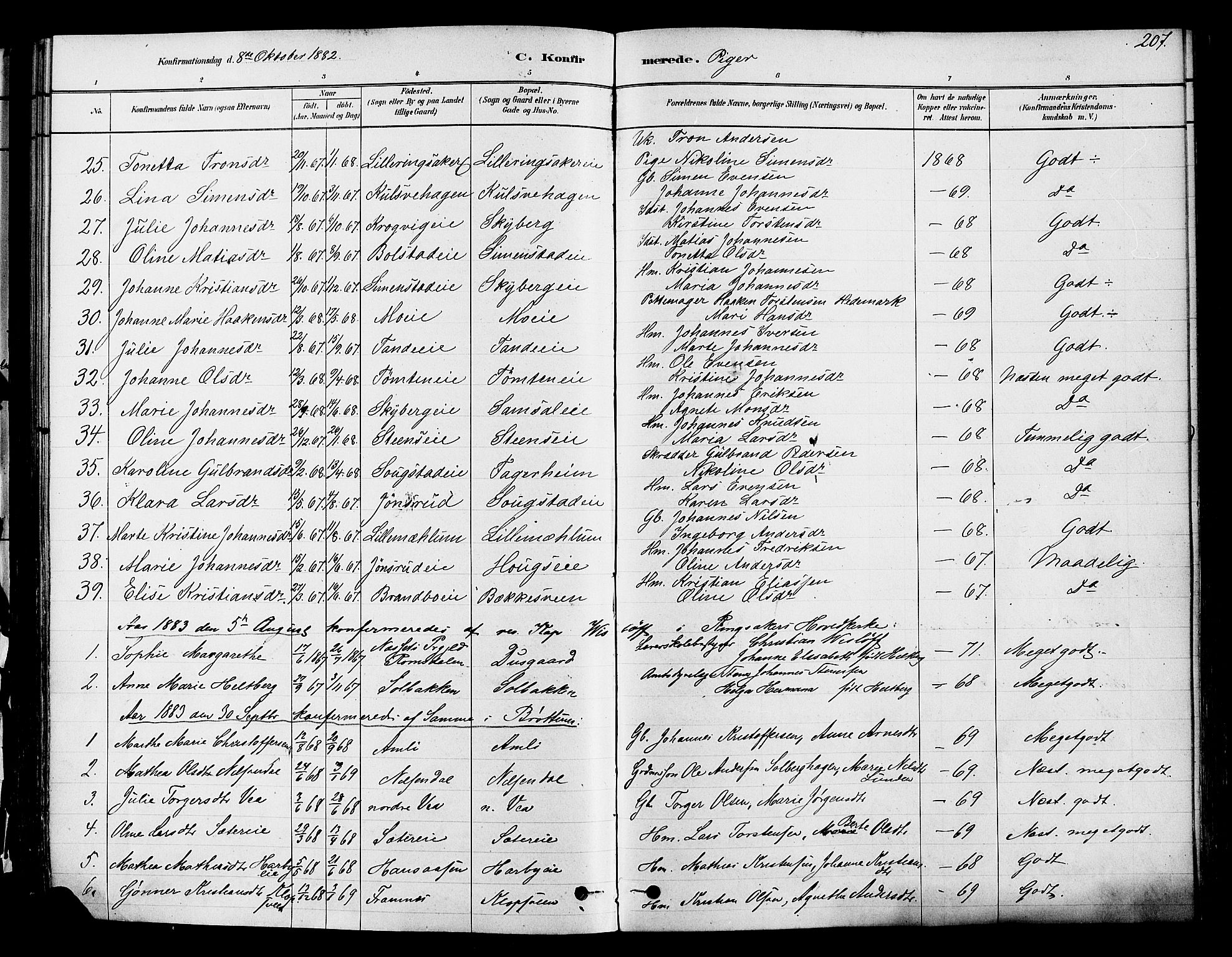 Ringsaker prestekontor, AV/SAH-PREST-014/K/Ka/L0012: Parish register (official) no. 12, 1879-1890, p. 207