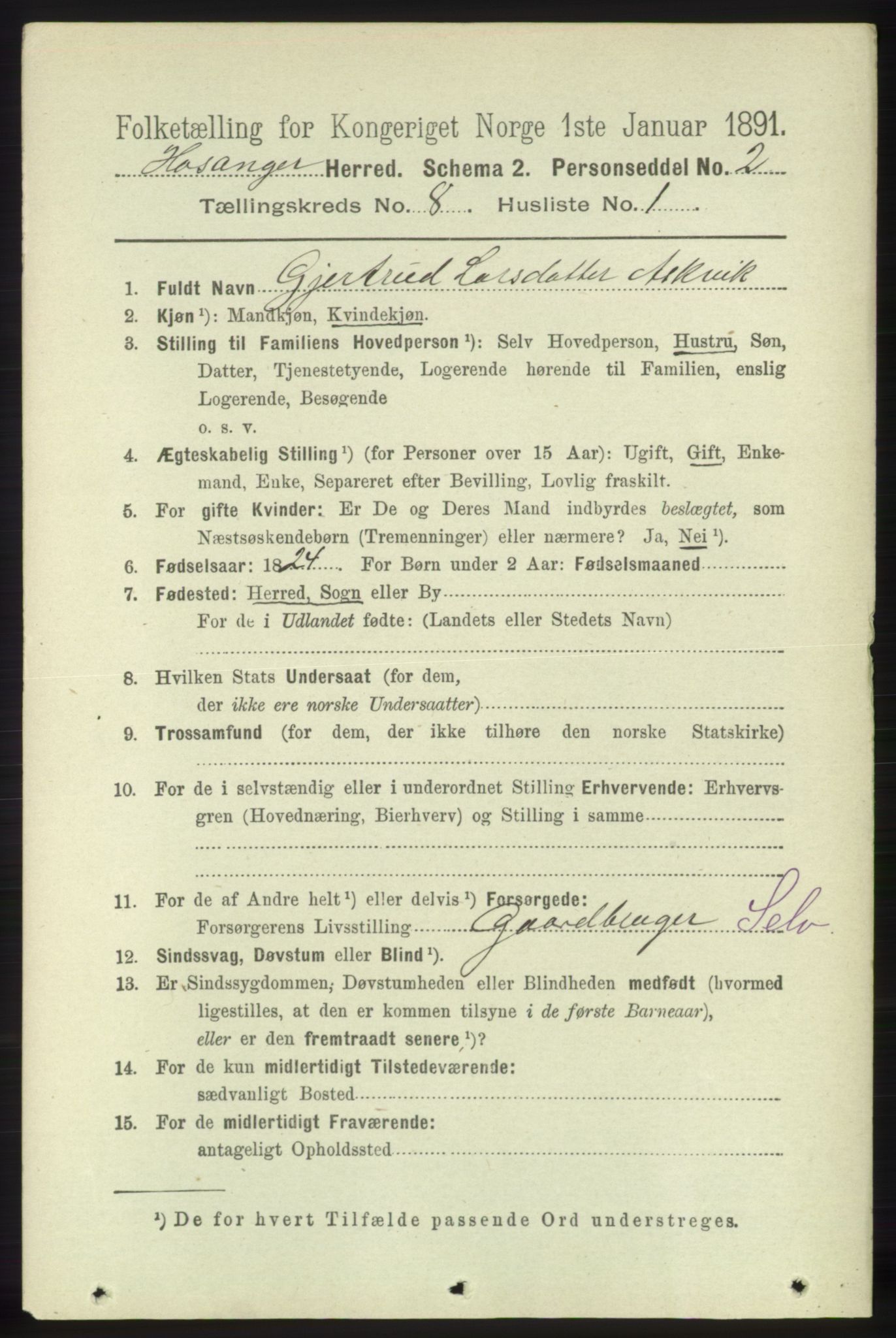 RA, 1891 census for 1253 Hosanger, 1891, p. 2953