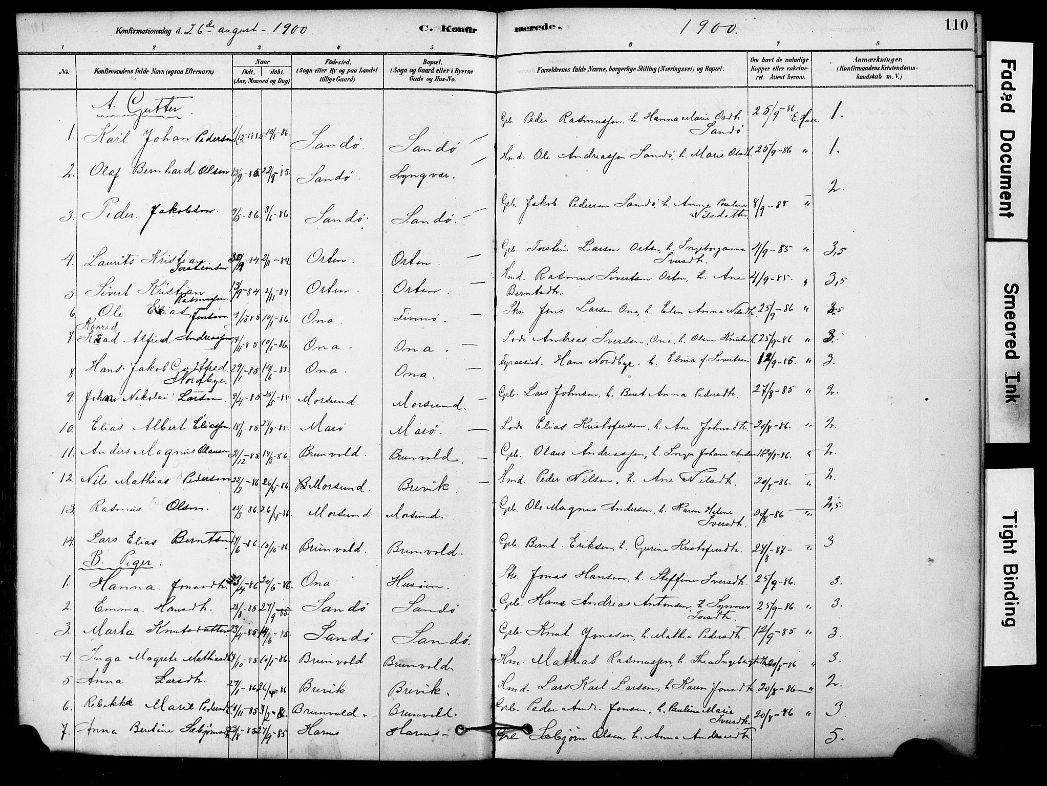 Ministerialprotokoller, klokkerbøker og fødselsregistre - Møre og Romsdal, AV/SAT-A-1454/561/L0729: Parish register (official) no. 561A03, 1878-1900, p. 110