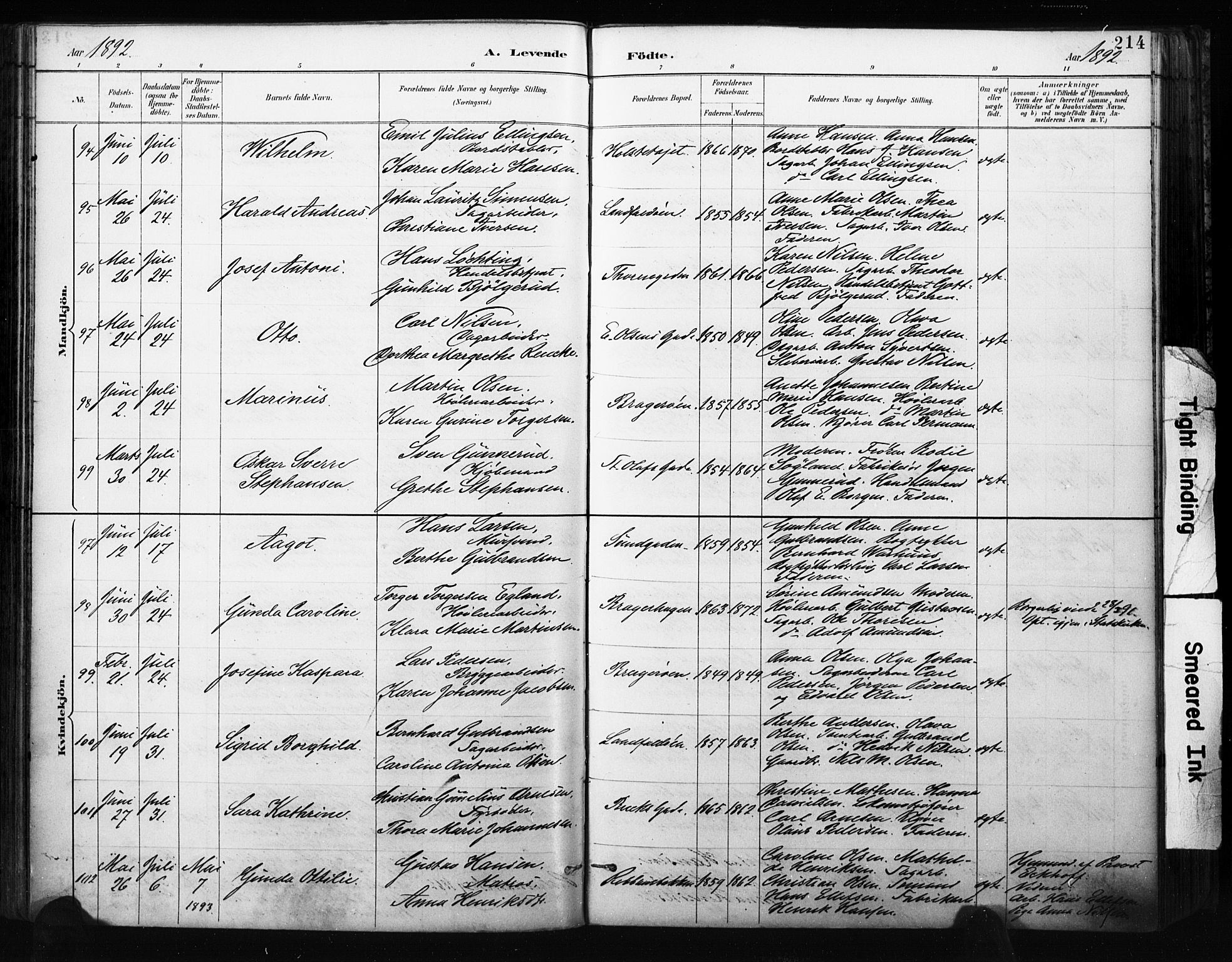 Bragernes kirkebøker, AV/SAKO-A-6/F/Fb/L0007: Parish register (official) no. II 7, 1885-1893, p. 214