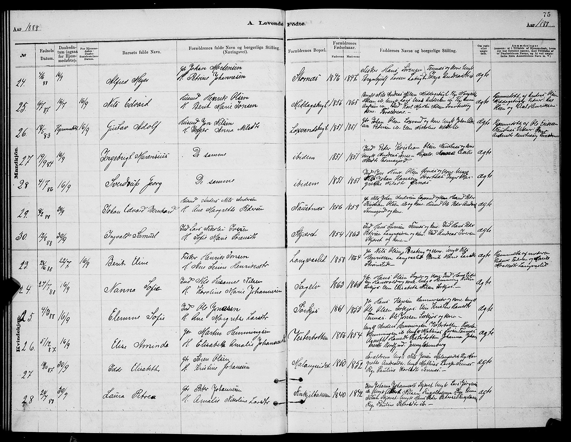 Balsfjord sokneprestembete, AV/SATØ-S-1303/G/Ga/L0007klokker: Parish register (copy) no. 7, 1878-1889, p. 75
