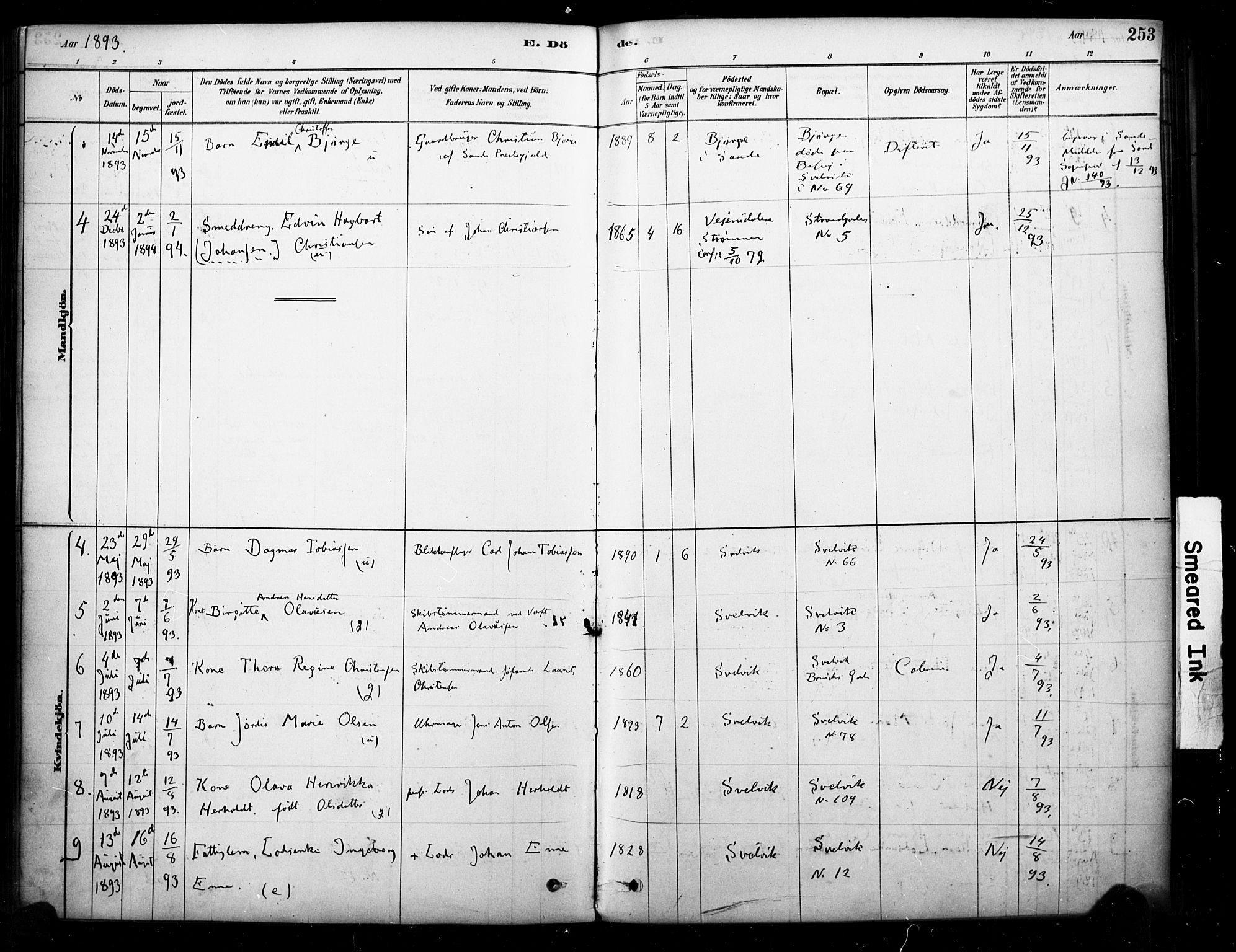 Strømm kirkebøker, SAKO/A-322/F/Fb/L0001: Parish register (official) no. II 1, 1878-1899, p. 253