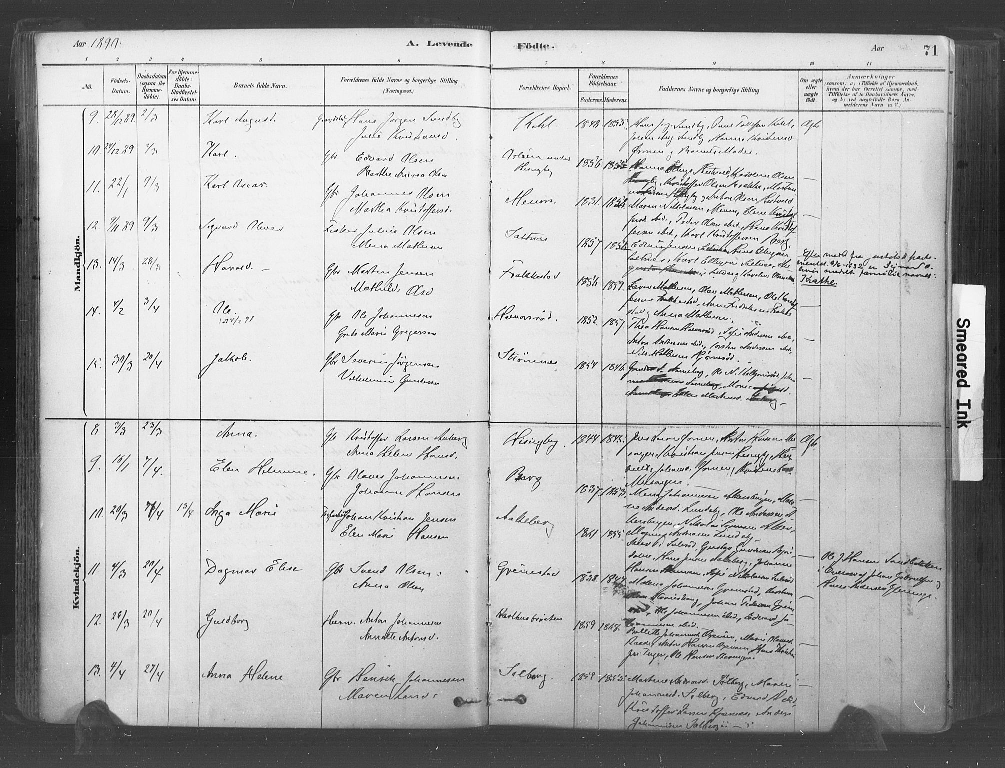 Råde prestekontor kirkebøker, AV/SAO-A-2009/F/Fa/L0007: Parish register (official) no. 7, 1878-1902, p. 71