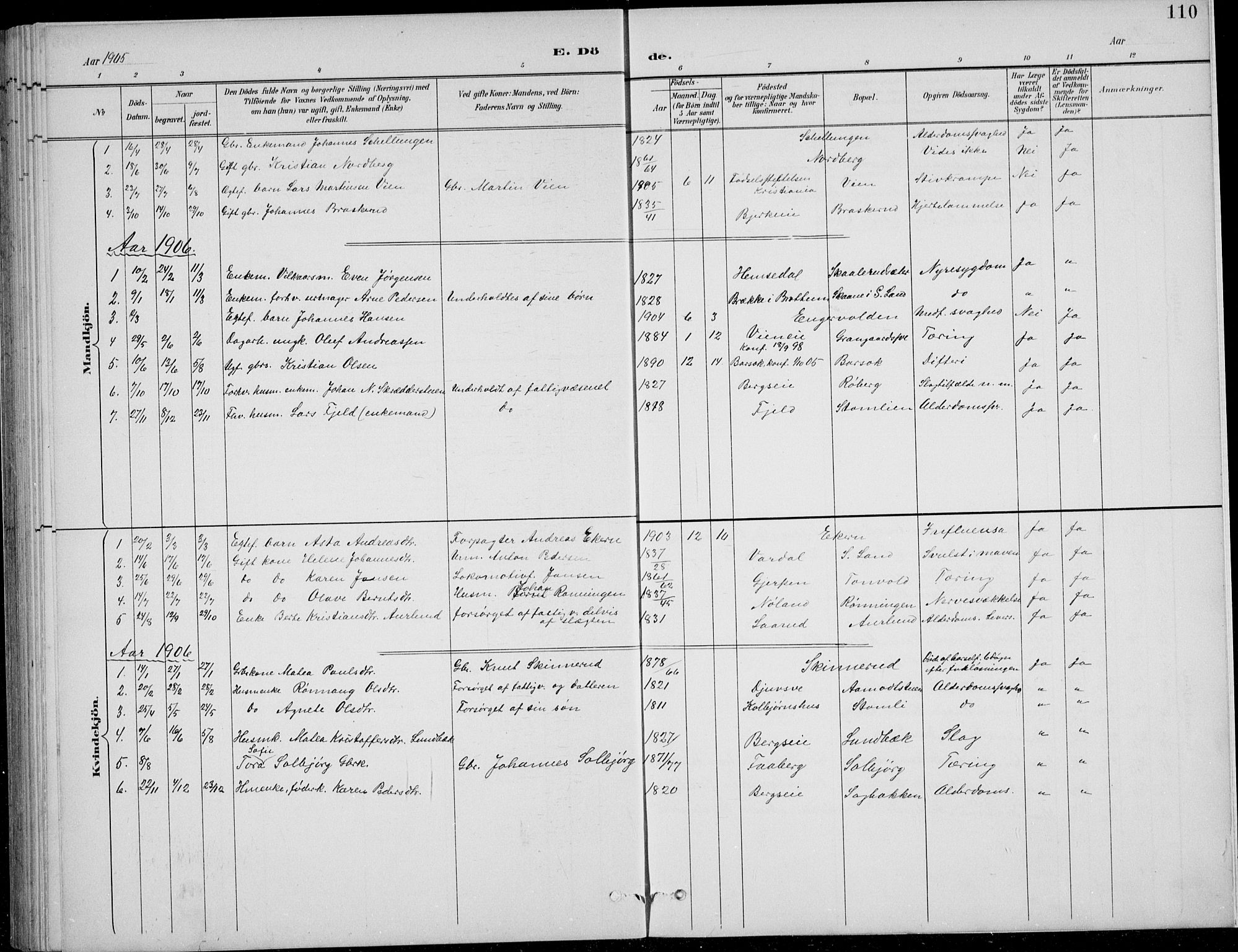 Nordre Land prestekontor, SAH/PREST-124/H/Ha/Hab/L0014: Parish register (copy) no. 14, 1891-1907, p. 110