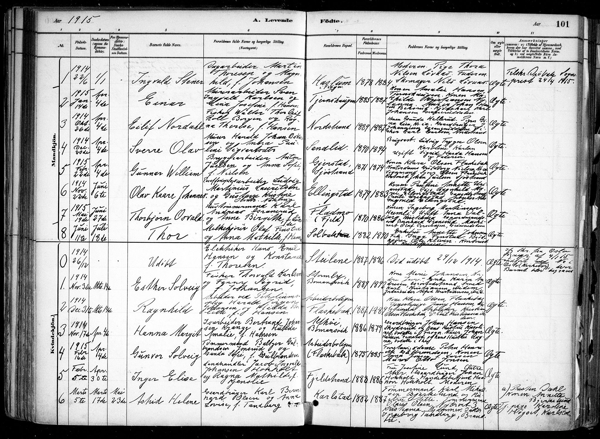 Nesodden prestekontor Kirkebøker, SAO/A-10013/F/Fa/L0009: Parish register (official) no. I 9, 1880-1915, p. 101