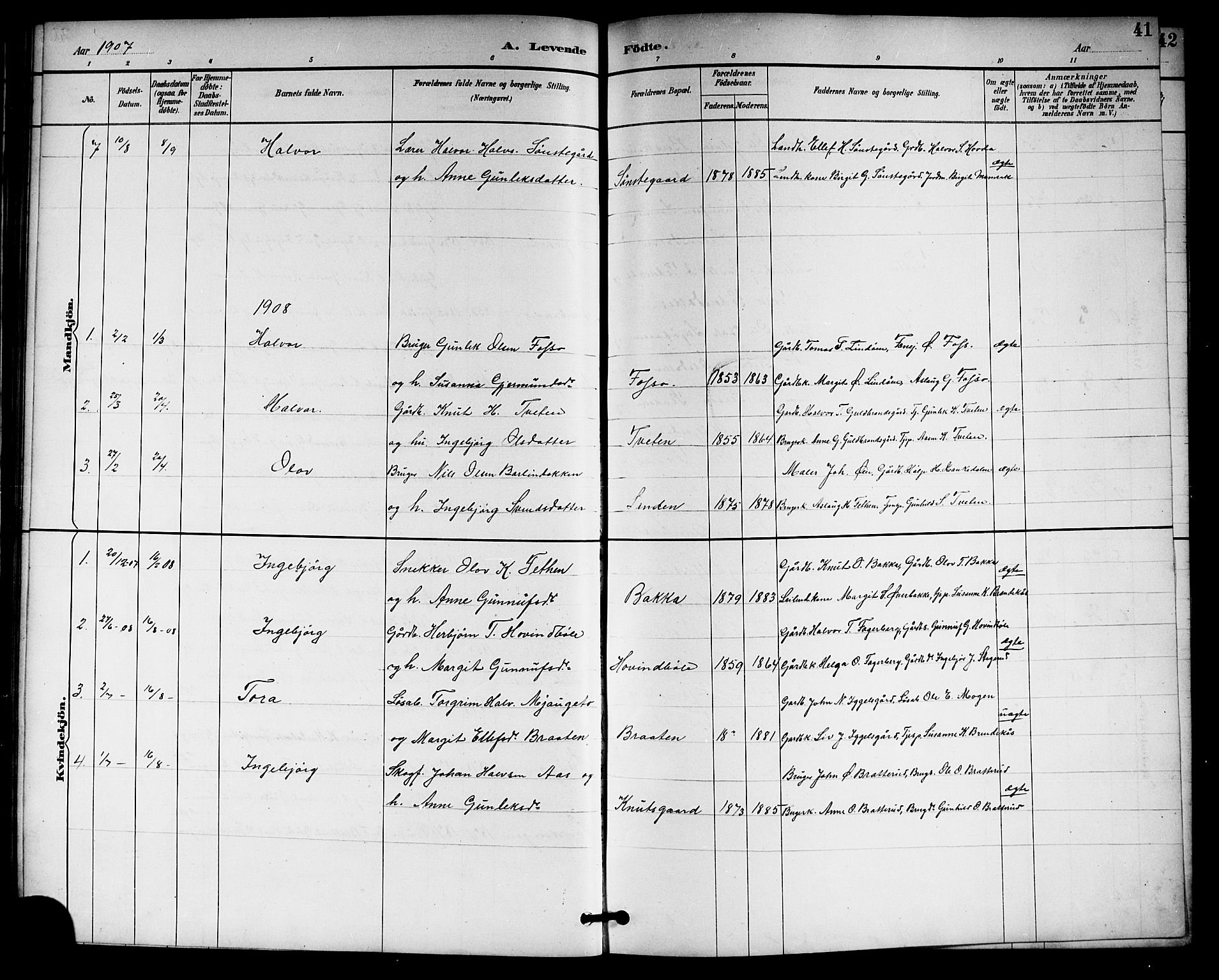Gransherad kirkebøker, SAKO/A-267/G/Gb/L0003: Parish register (copy) no. II 3, 1887-1921, p. 41